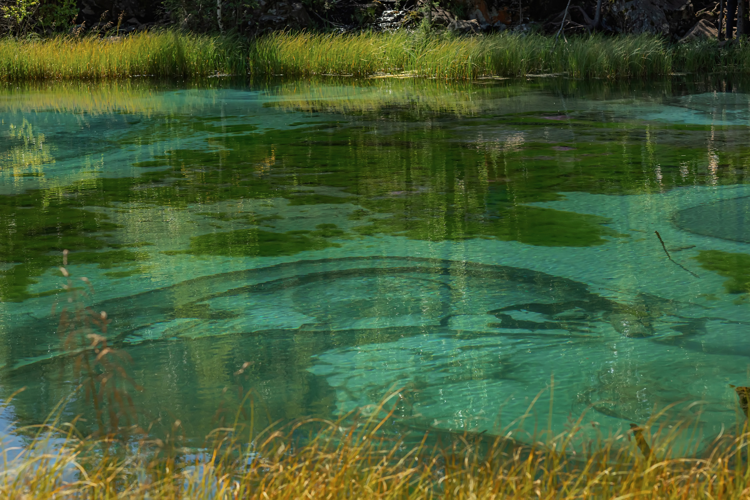 Алтай. Фотограф в Москве и Санкт-Петербурге Елена Потапова