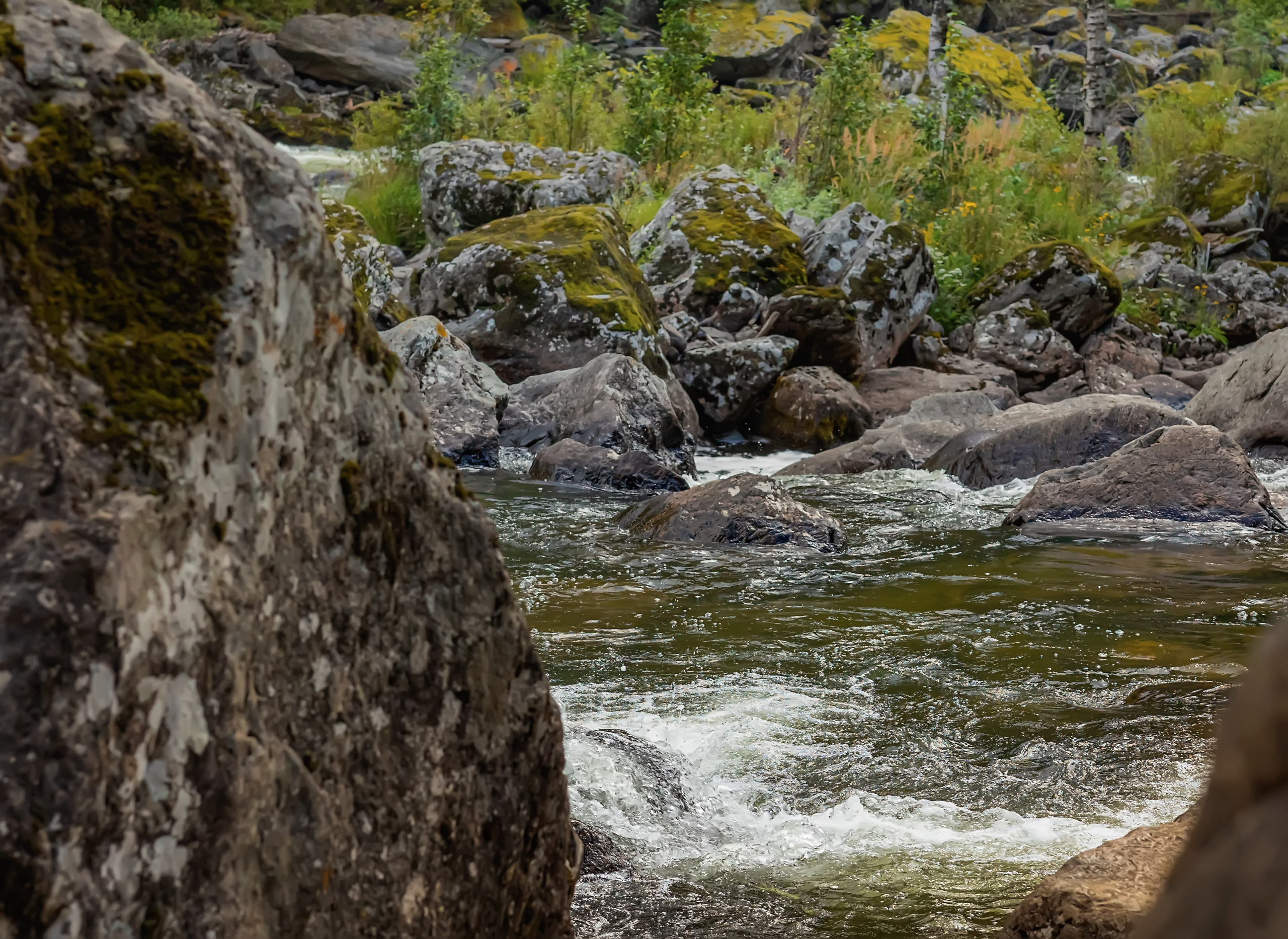 Алтай. Фотограф в Москве и Санкт-Петербурге Елена Потапова