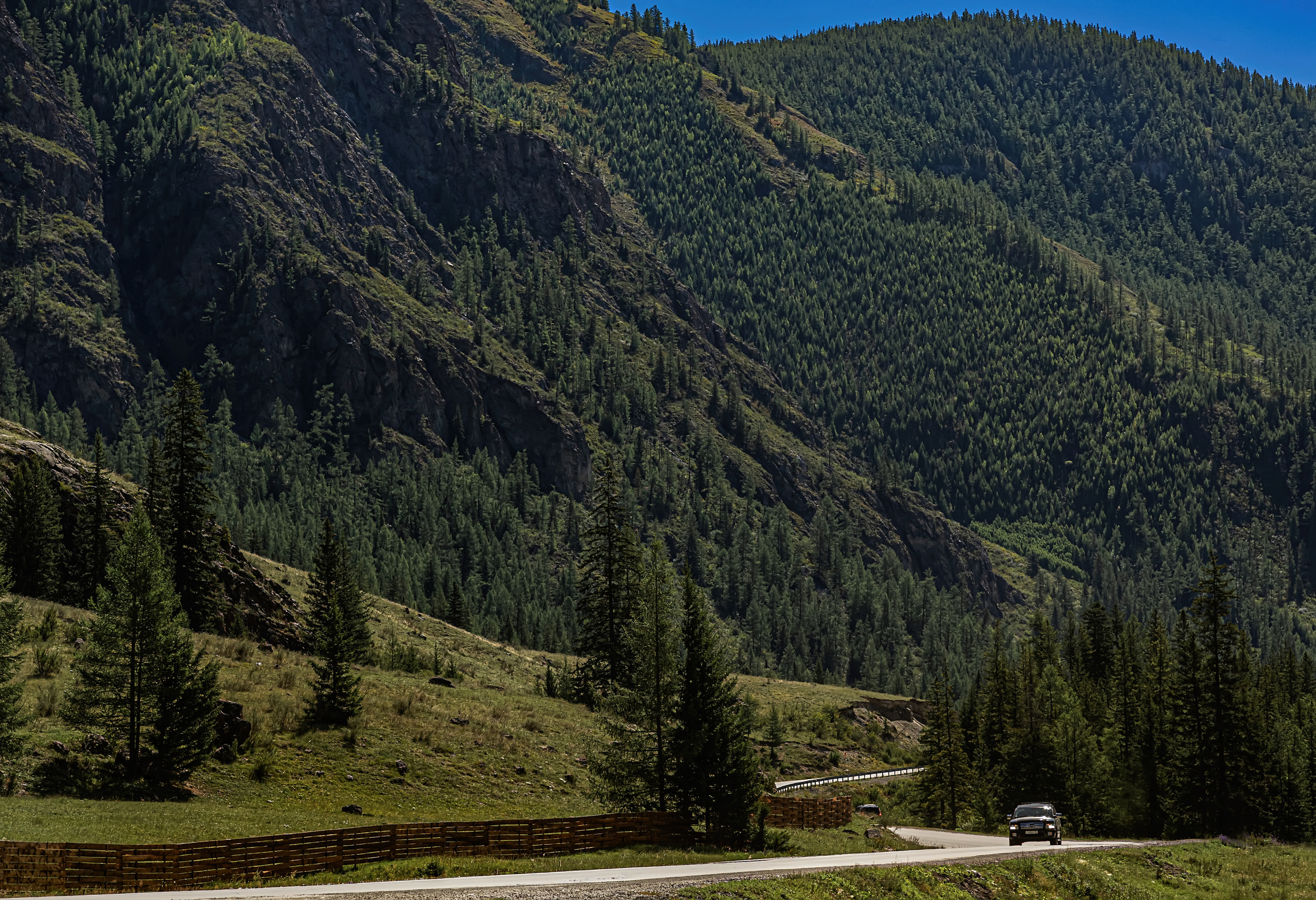 Алтай. Фотограф в Москве и Санкт-Петербурге Елена Потапова