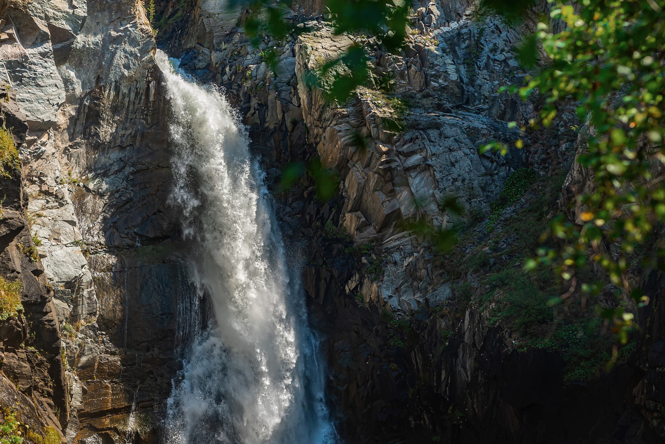 Алтай. Фотограф в Москве и Санкт-Петербурге Елена Потапова