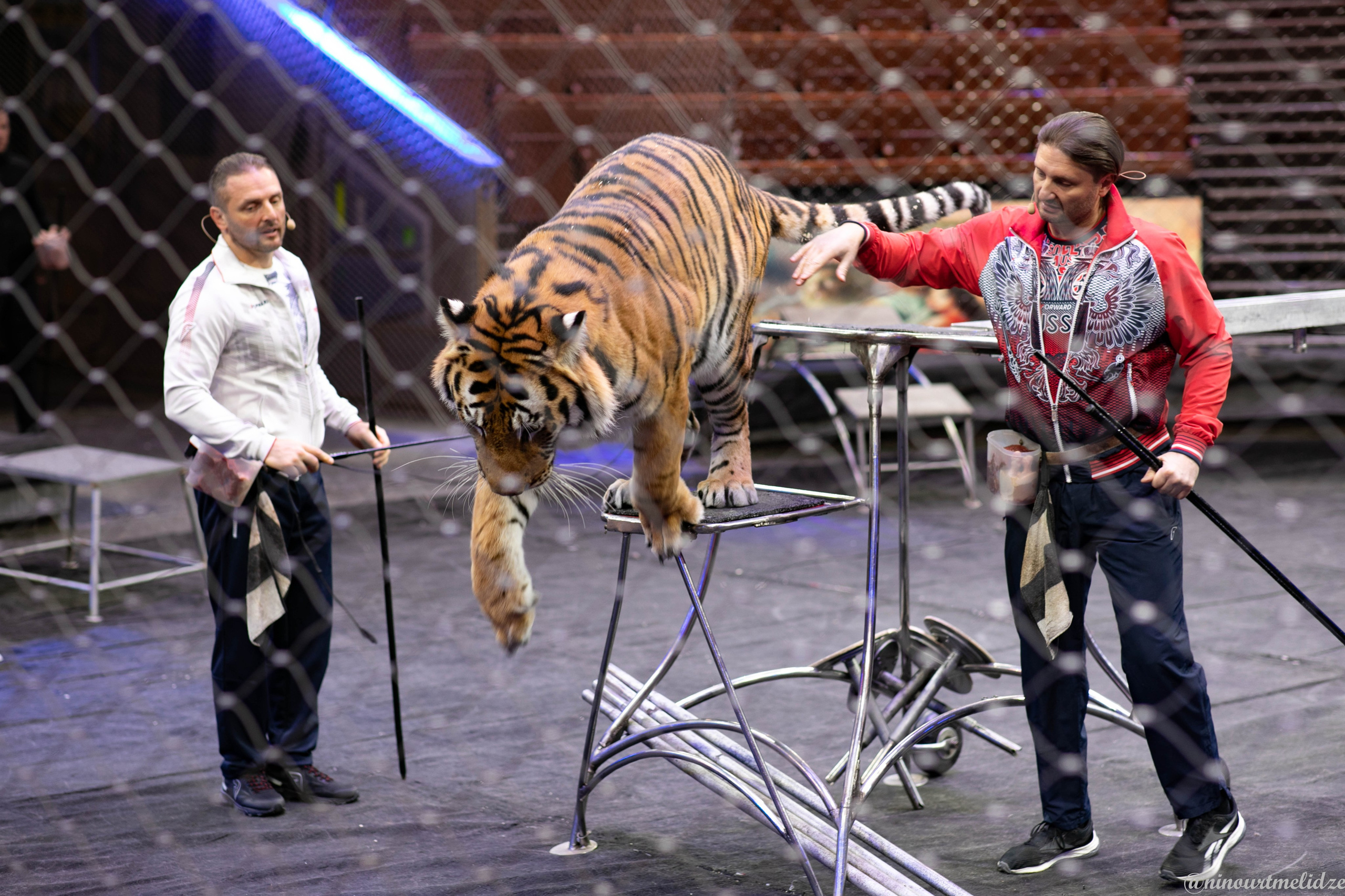 В закулисье у братьев Запашных. Art photographer Nino