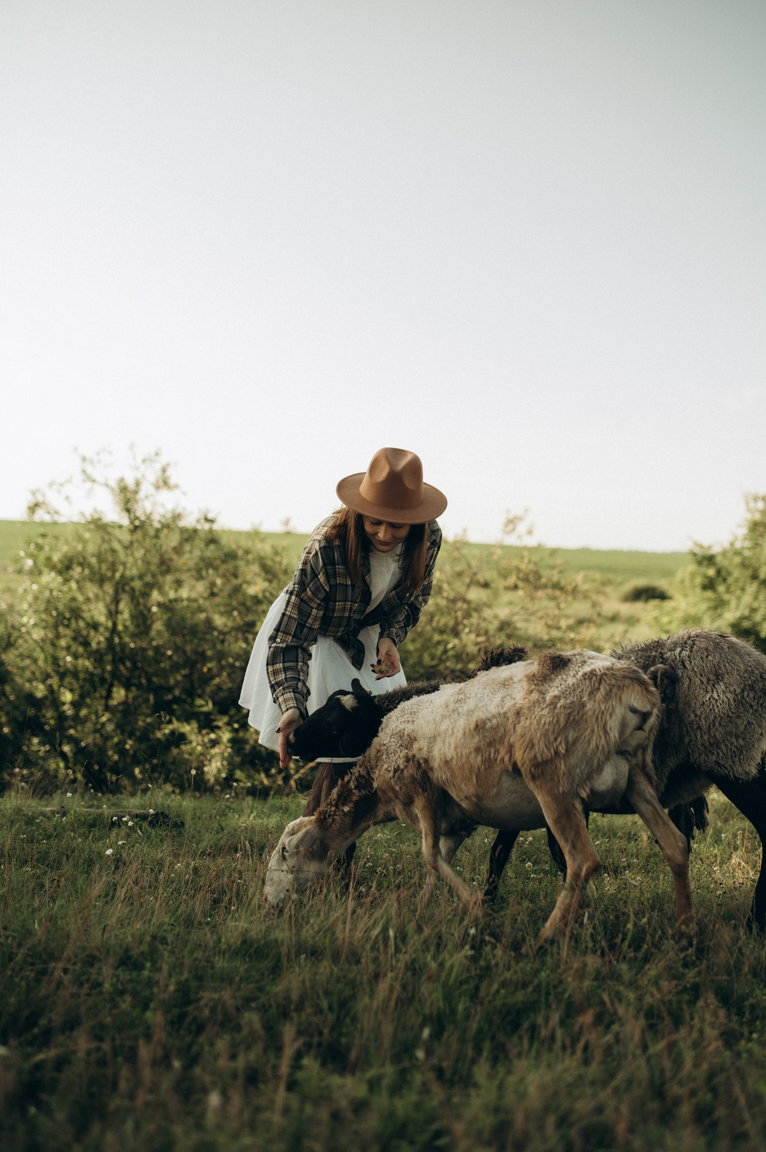 Фотосессия с овечками. Фотограф Быстрова Дарья г. Москва