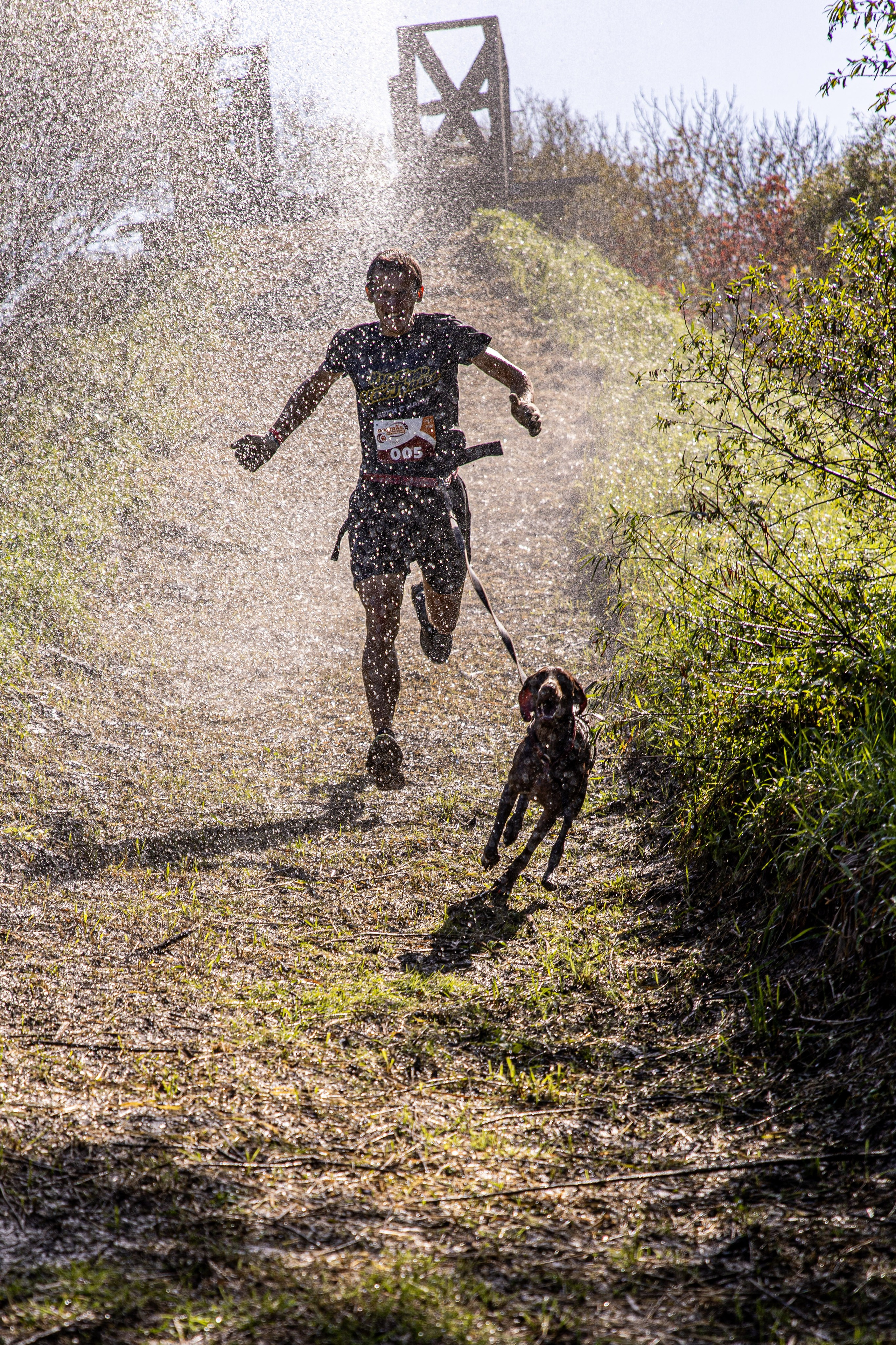 Dogtrail 2023. Уссурийск