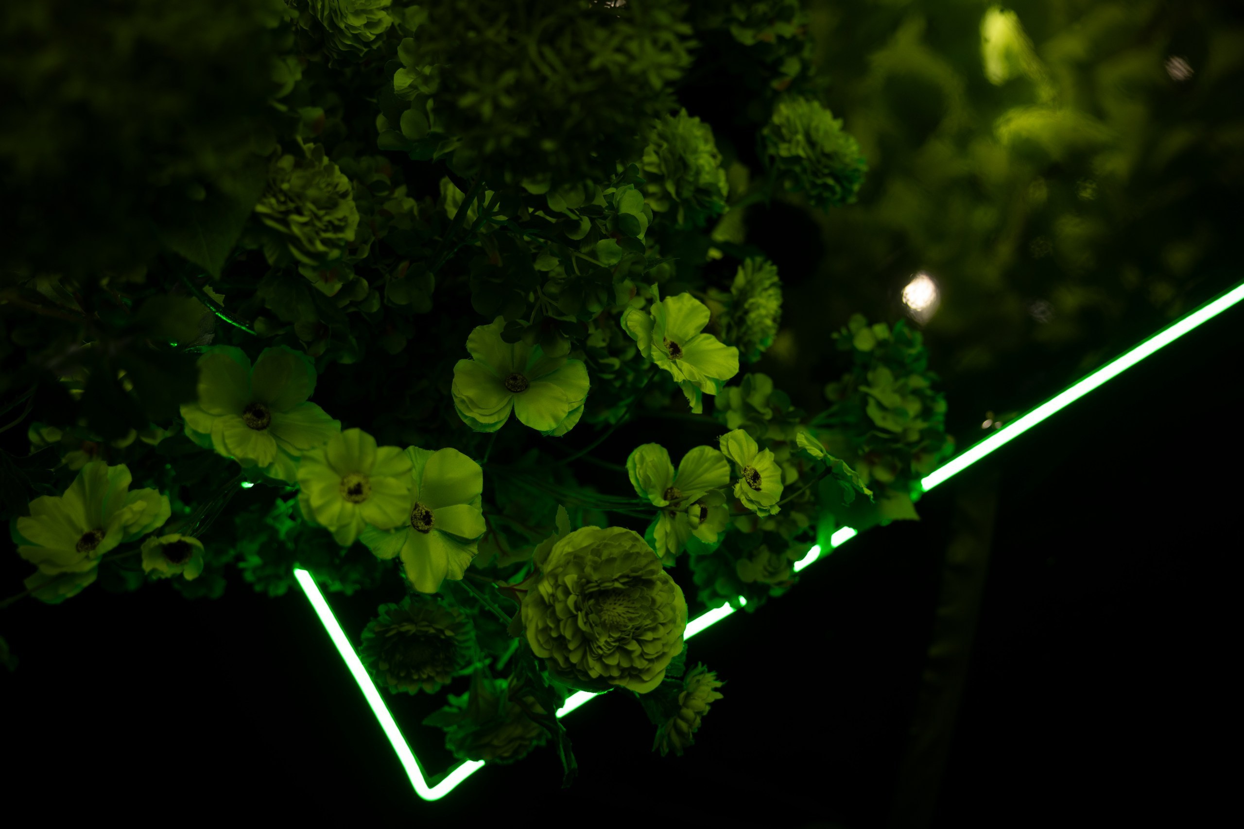 В/В. Вебер Юлия фотограф Ростов-на-Дону