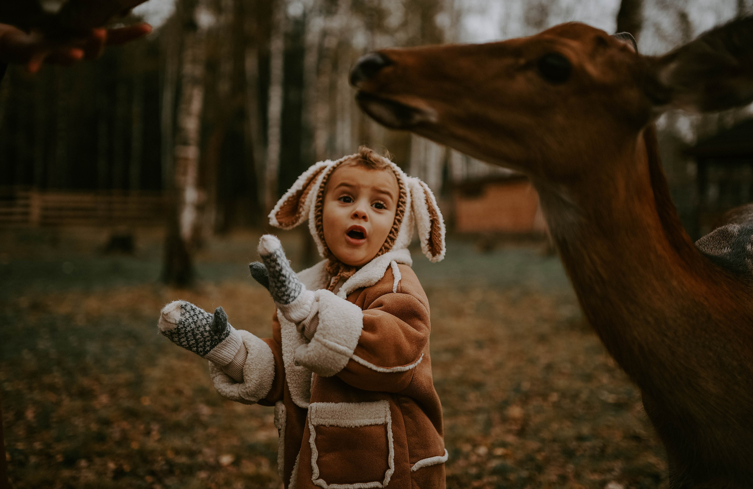 Фотовстреча с оленями. Photographer in Moscow & everywhere in the World Alena Vyalova