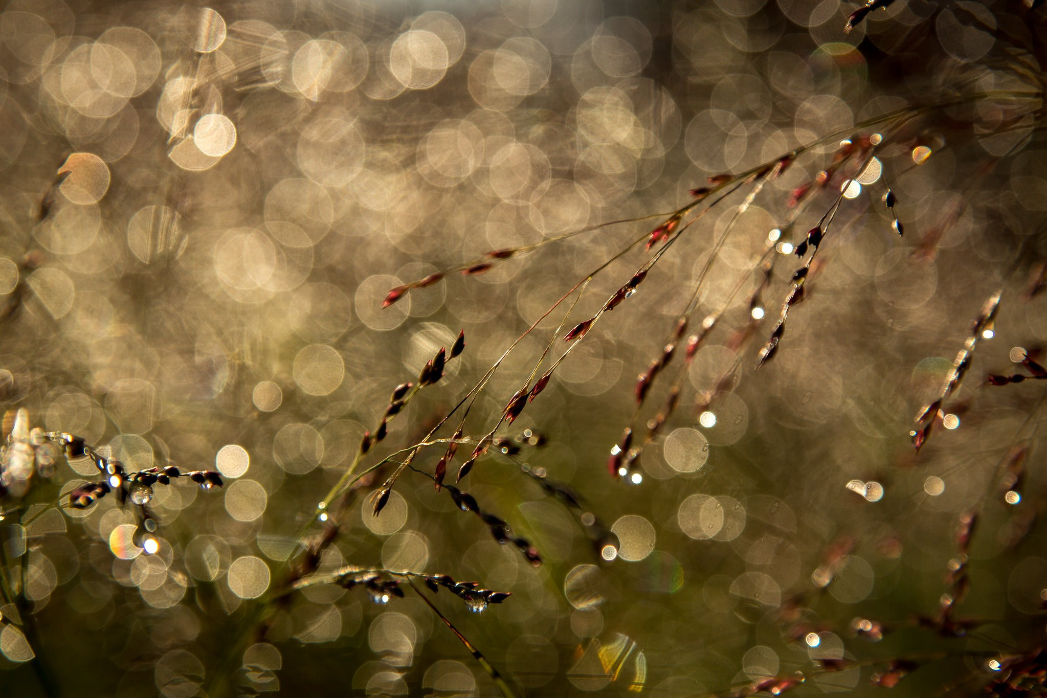 Фотограф и дизайнер Валерий Хотеев