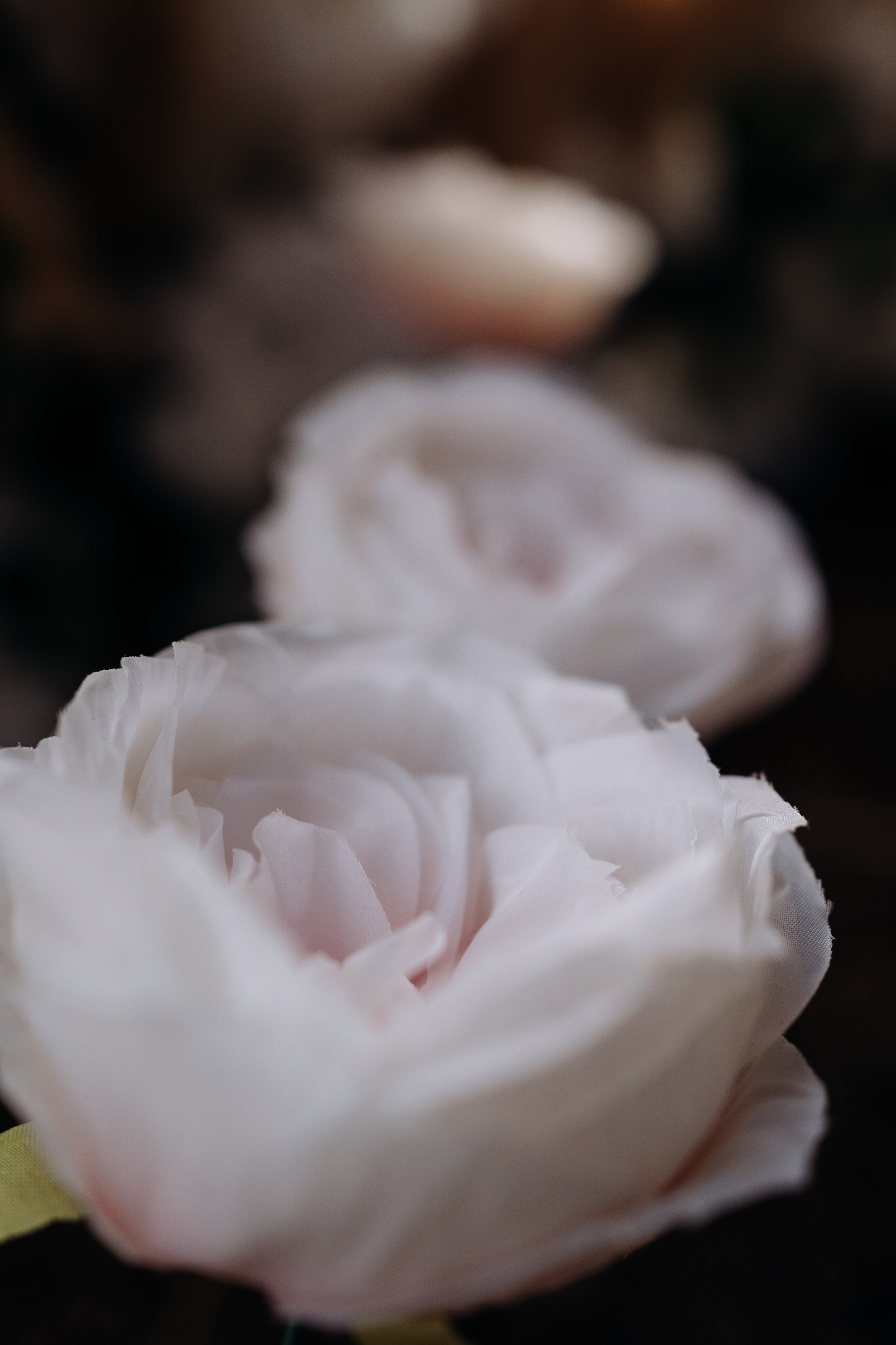 Ярославна и Артём. Фотограф Тверь. Анна Драго