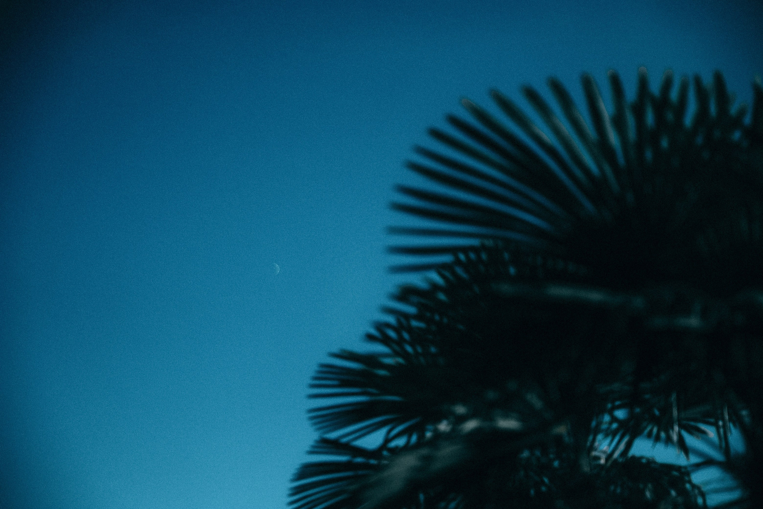 Егор и Ира. Свадебный фотограф Грузия Тбилиси