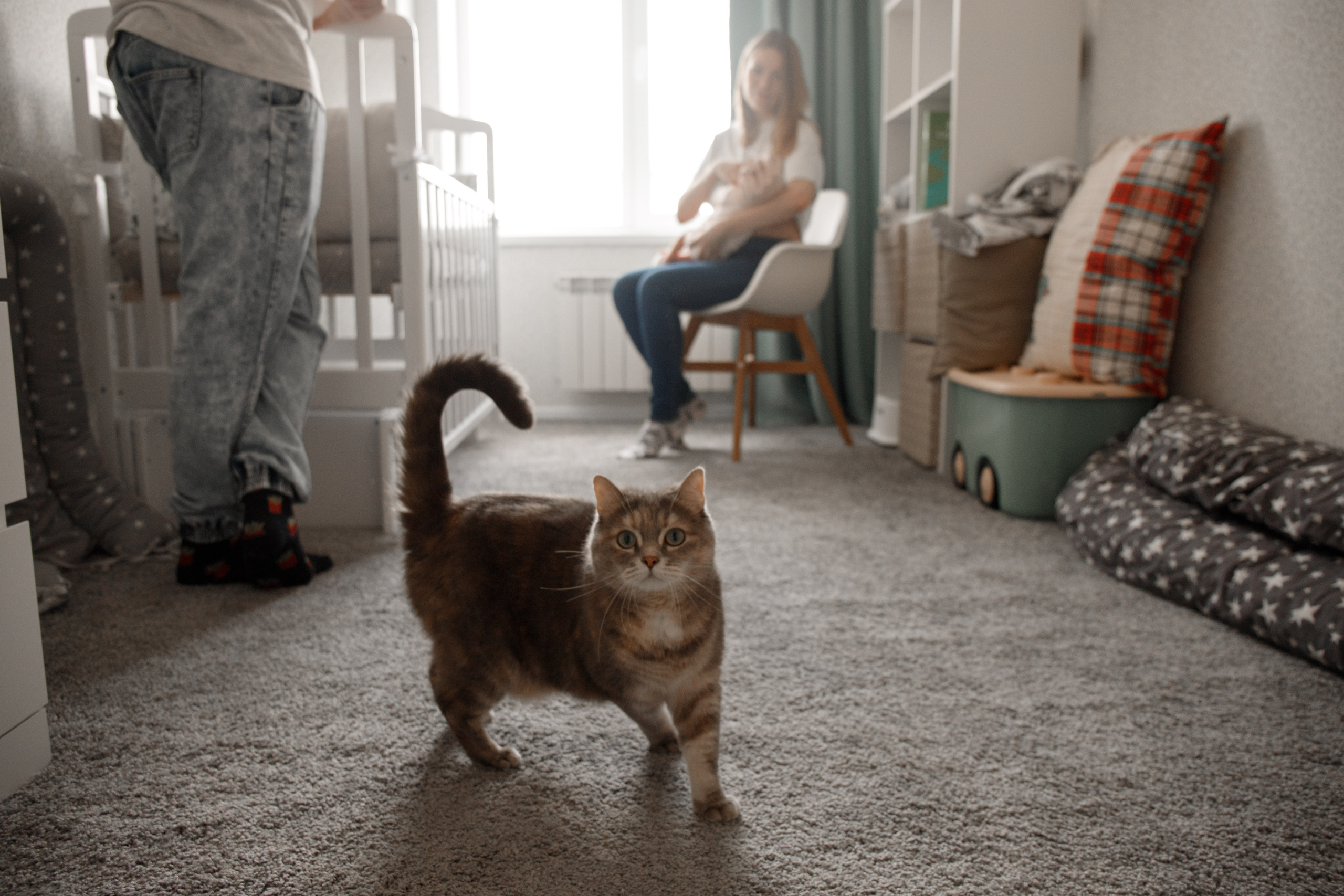 Варвара. Фотограф беременности и материнства Аделя Юсупова