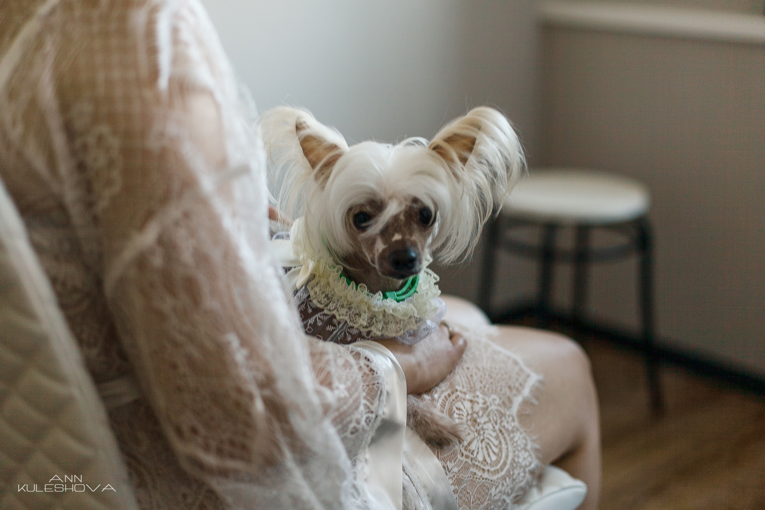 Ангелина и Антон. Фотограф Анастасия Кулешова