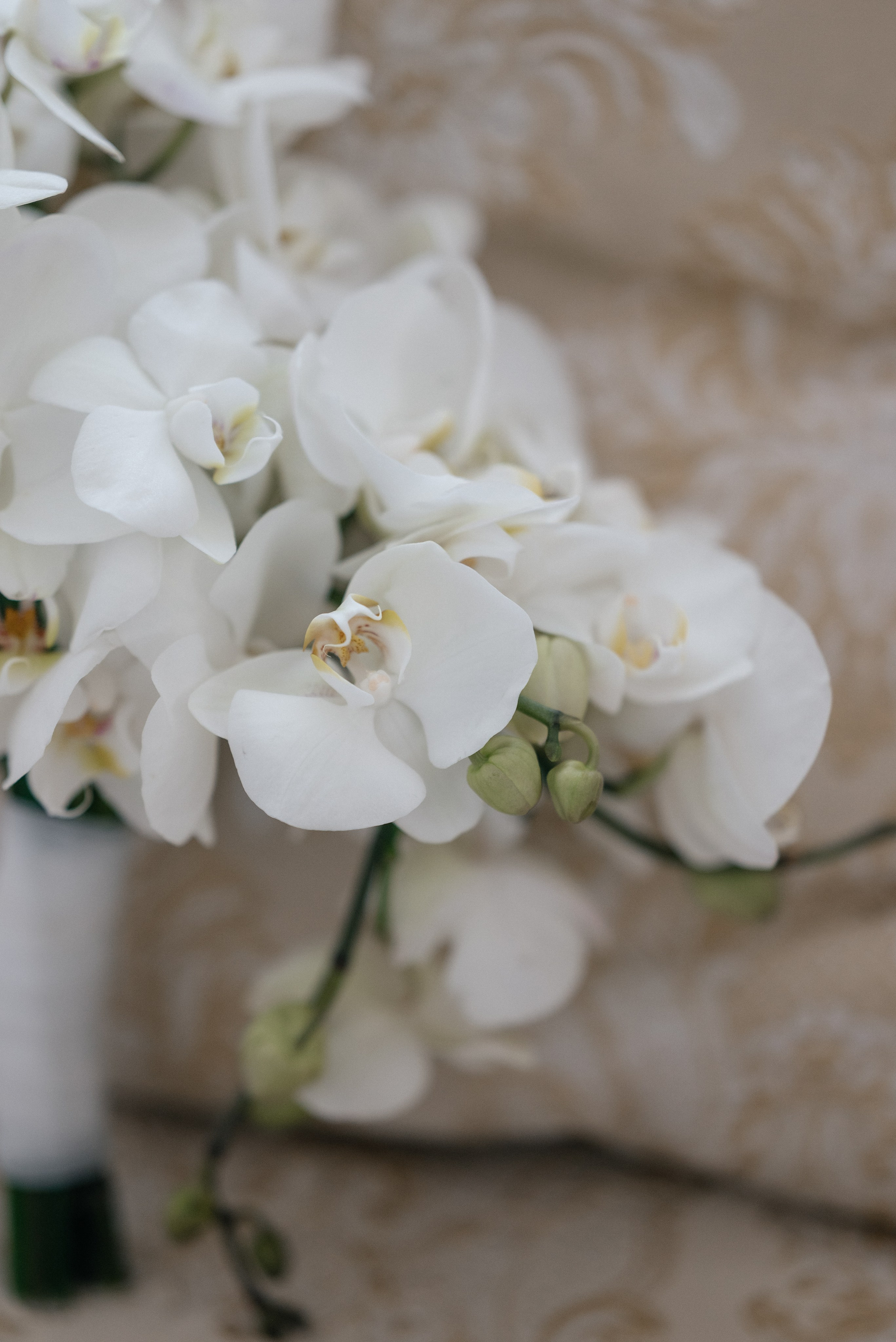 Wedding day in VERSAL PARK. Wedding PHOTOGRAPHER Andrew Vnukov