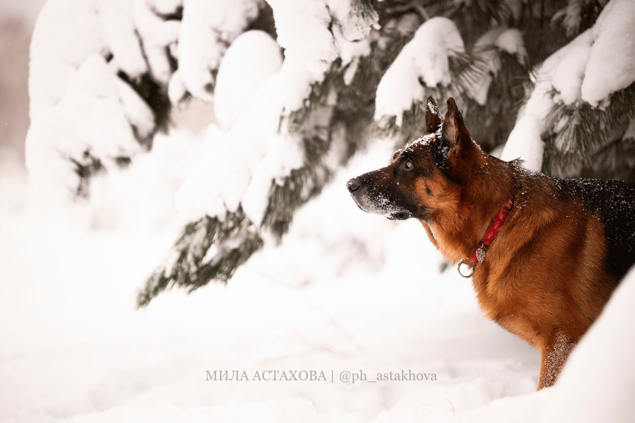 Ирина и Зарт. Мила Астахова