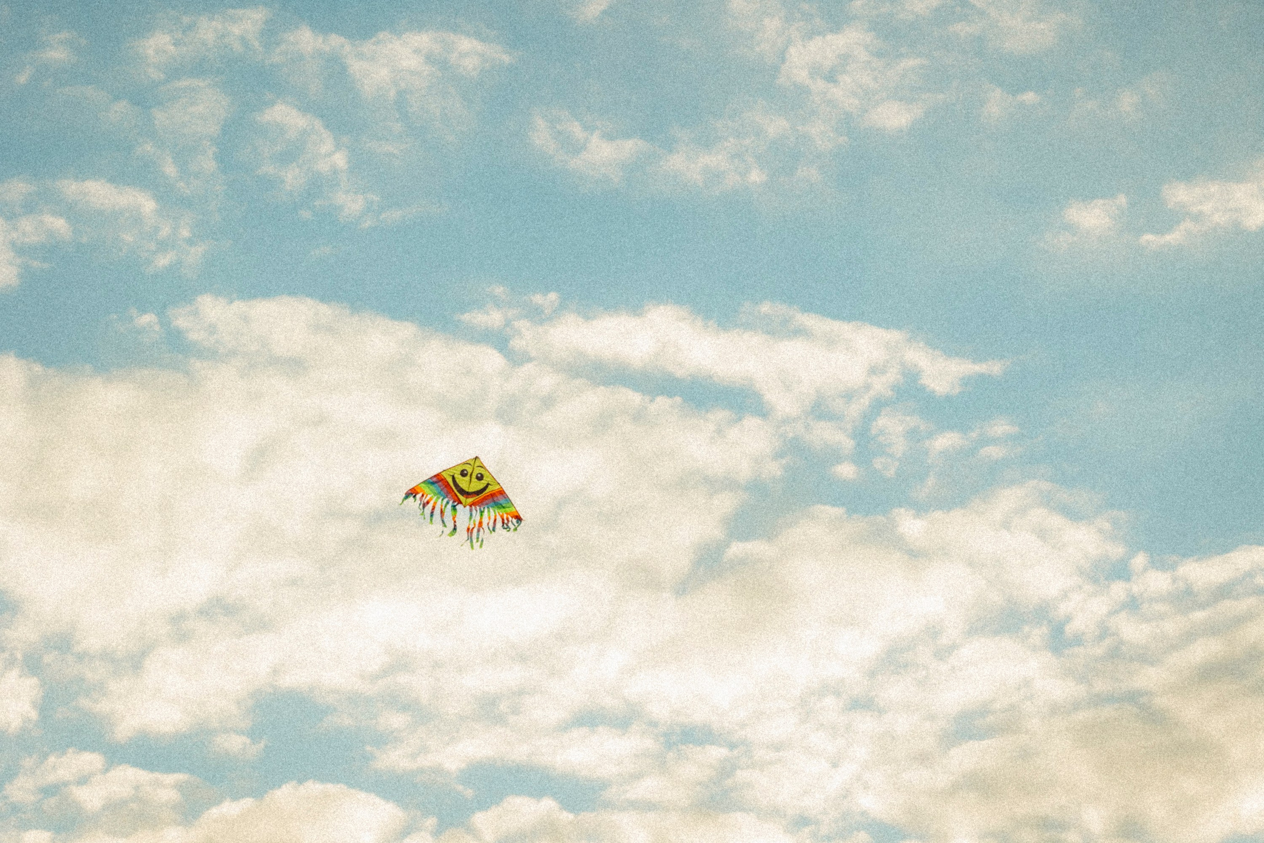 Family day — pizza and kite adventures. Katerina Nord | Wedding and Couple Photographer in Germany and Europe