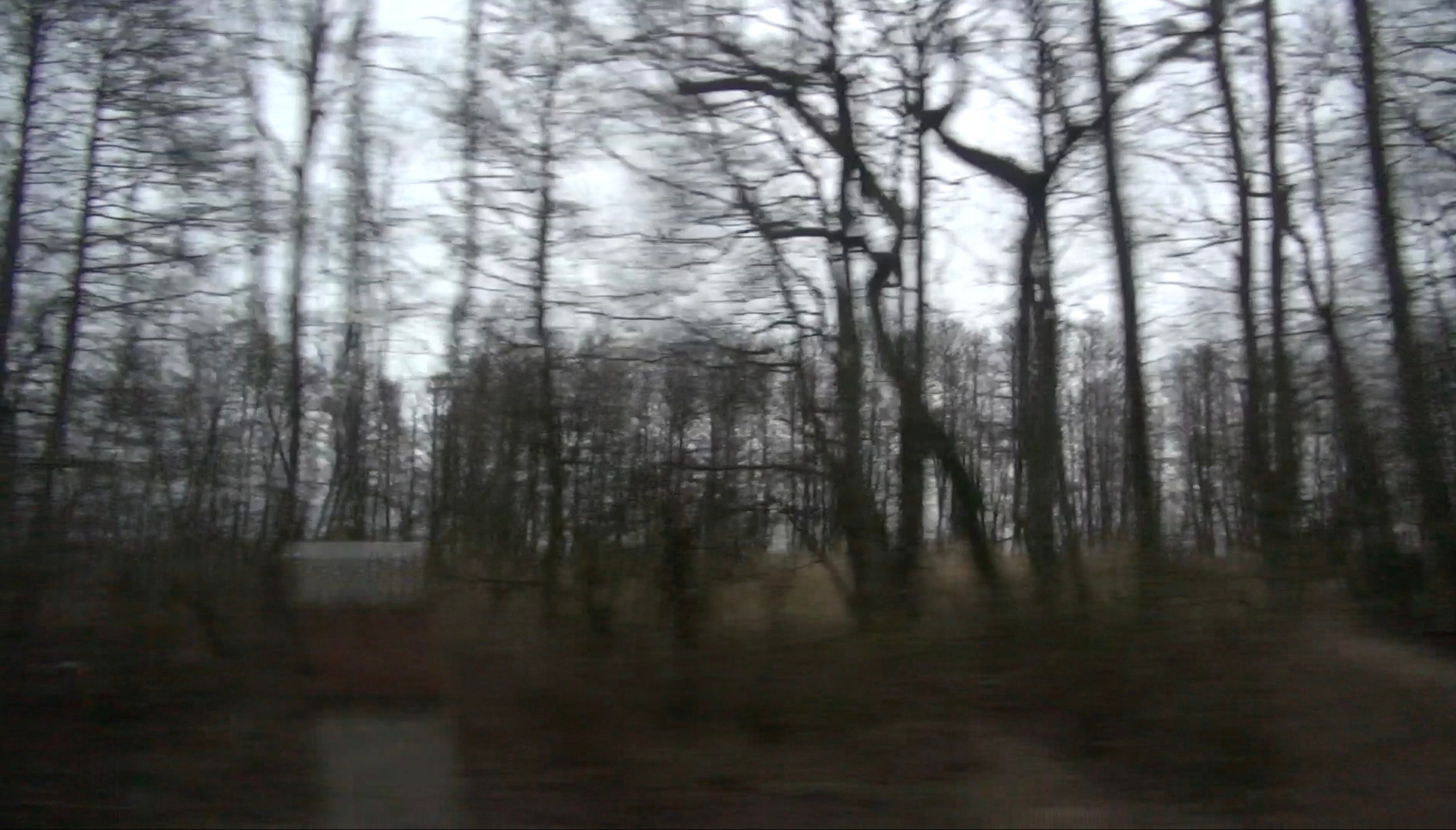 NIDA — 1 — ADIN. Художественная группа «Нежные Бабы»