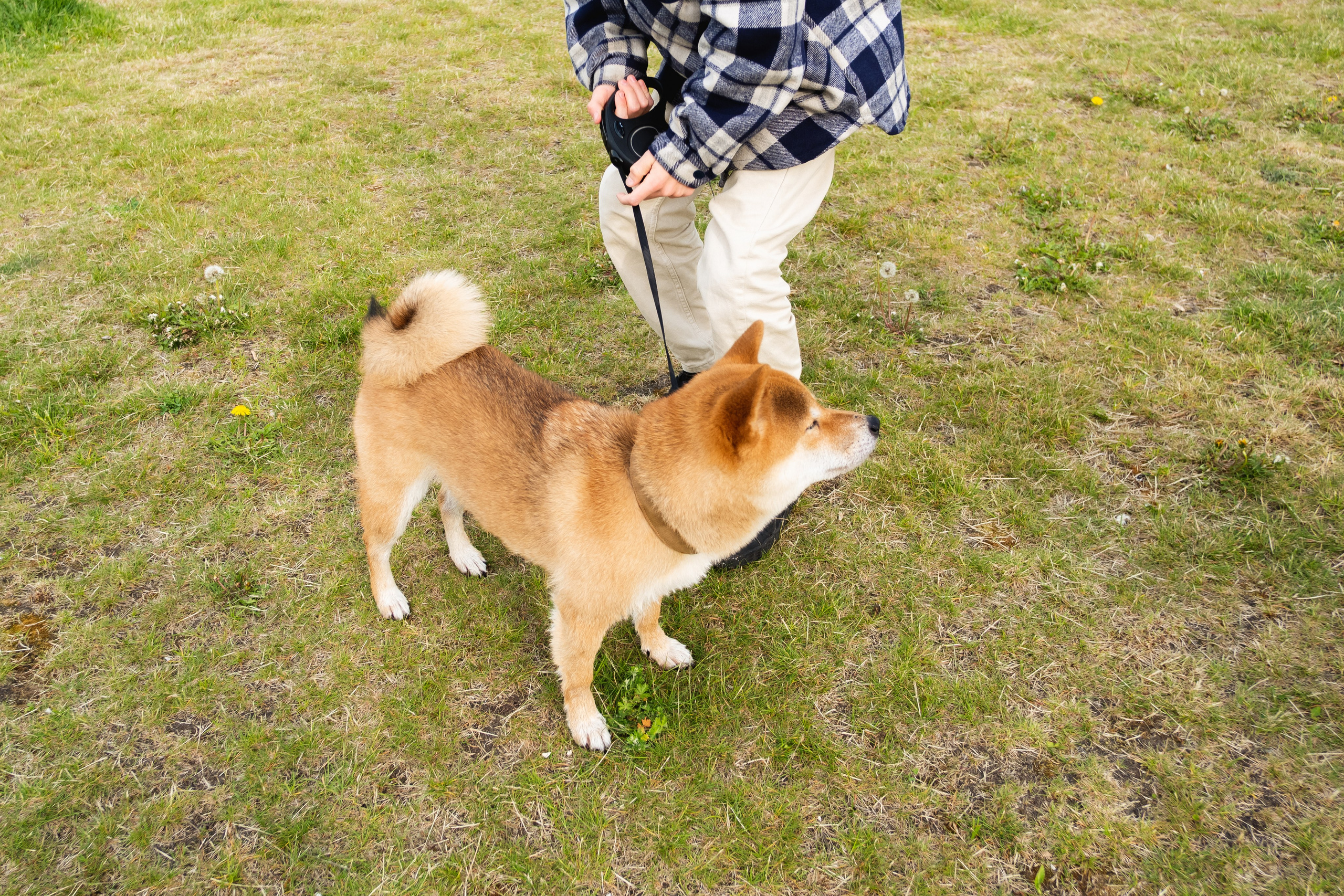 Pets. Фотограф в Москве Daria Lens