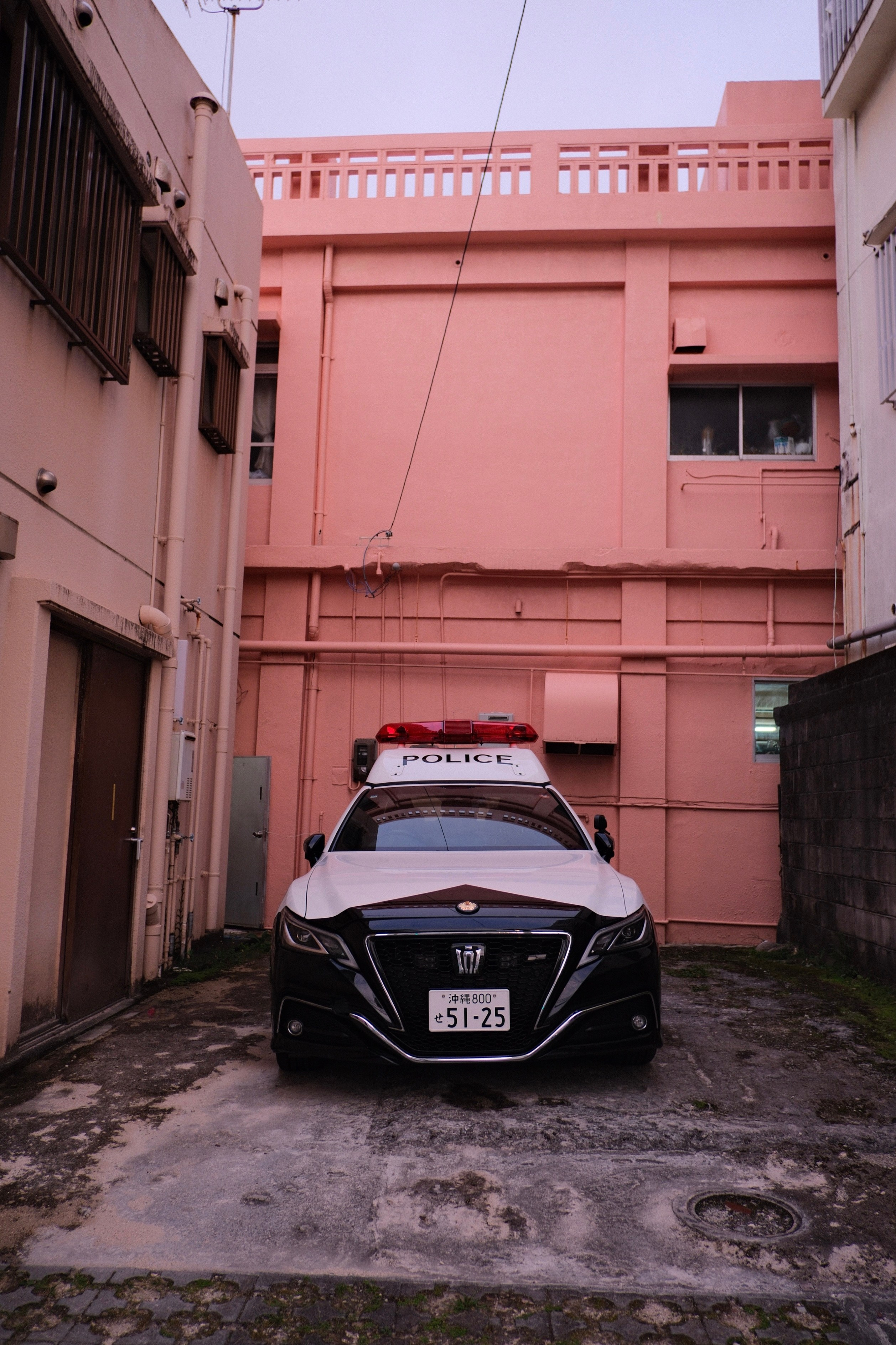 Japan 2026. Фотограф в Москве Daria Lens