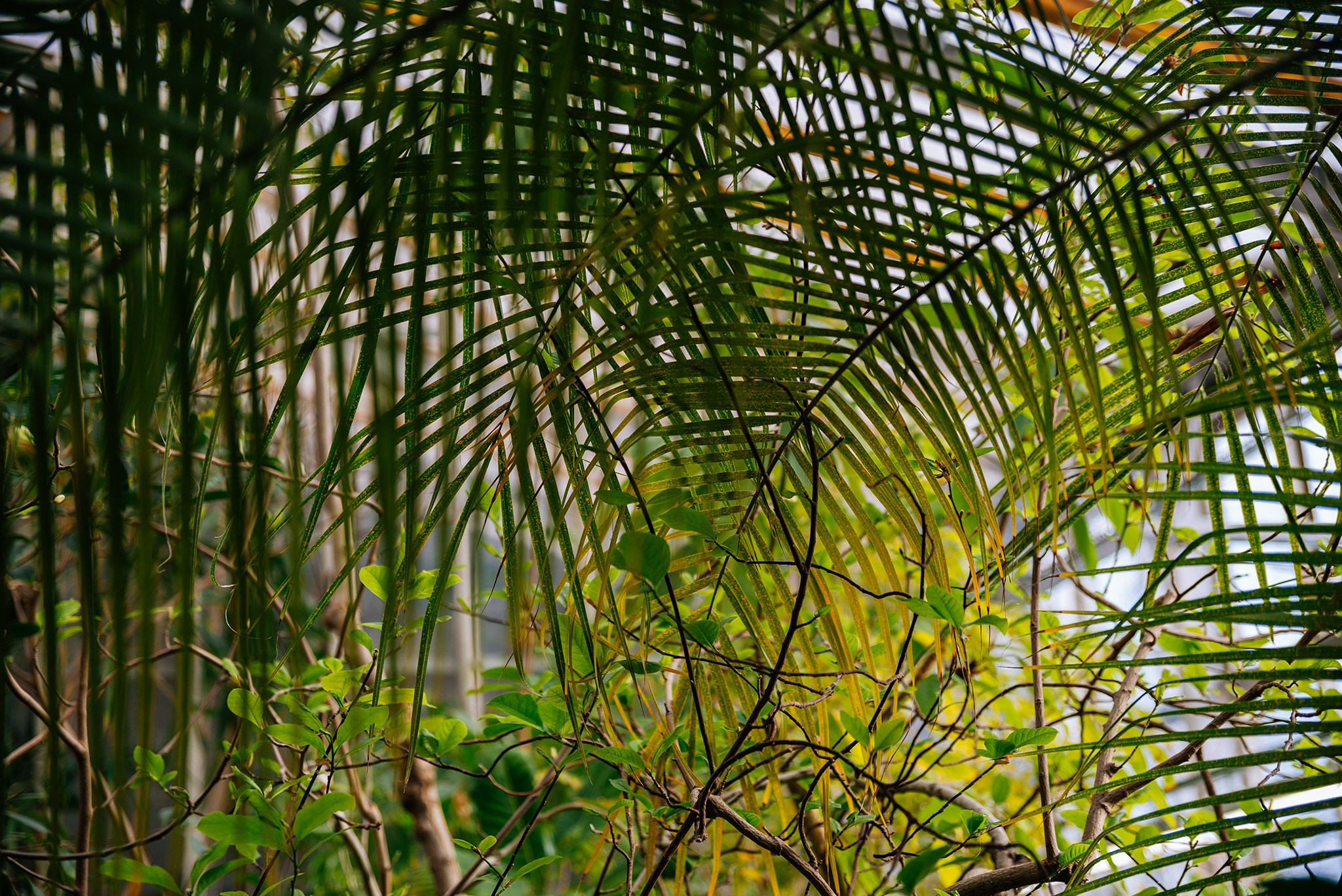 Юлия и Алиса. Прогулка в ботаническом саду. Репортажный фотограф в Санкт-Петербурге Анастасия Клёпова