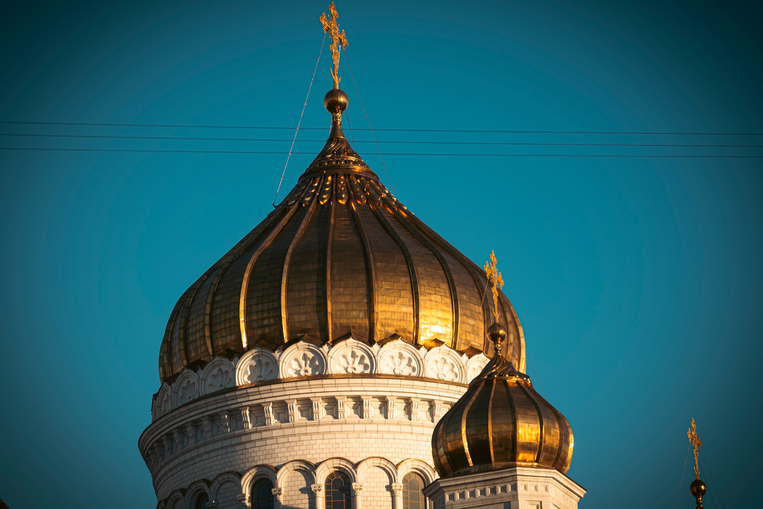 Фотограф и оператор в Москве Елизавета Коргалидзе