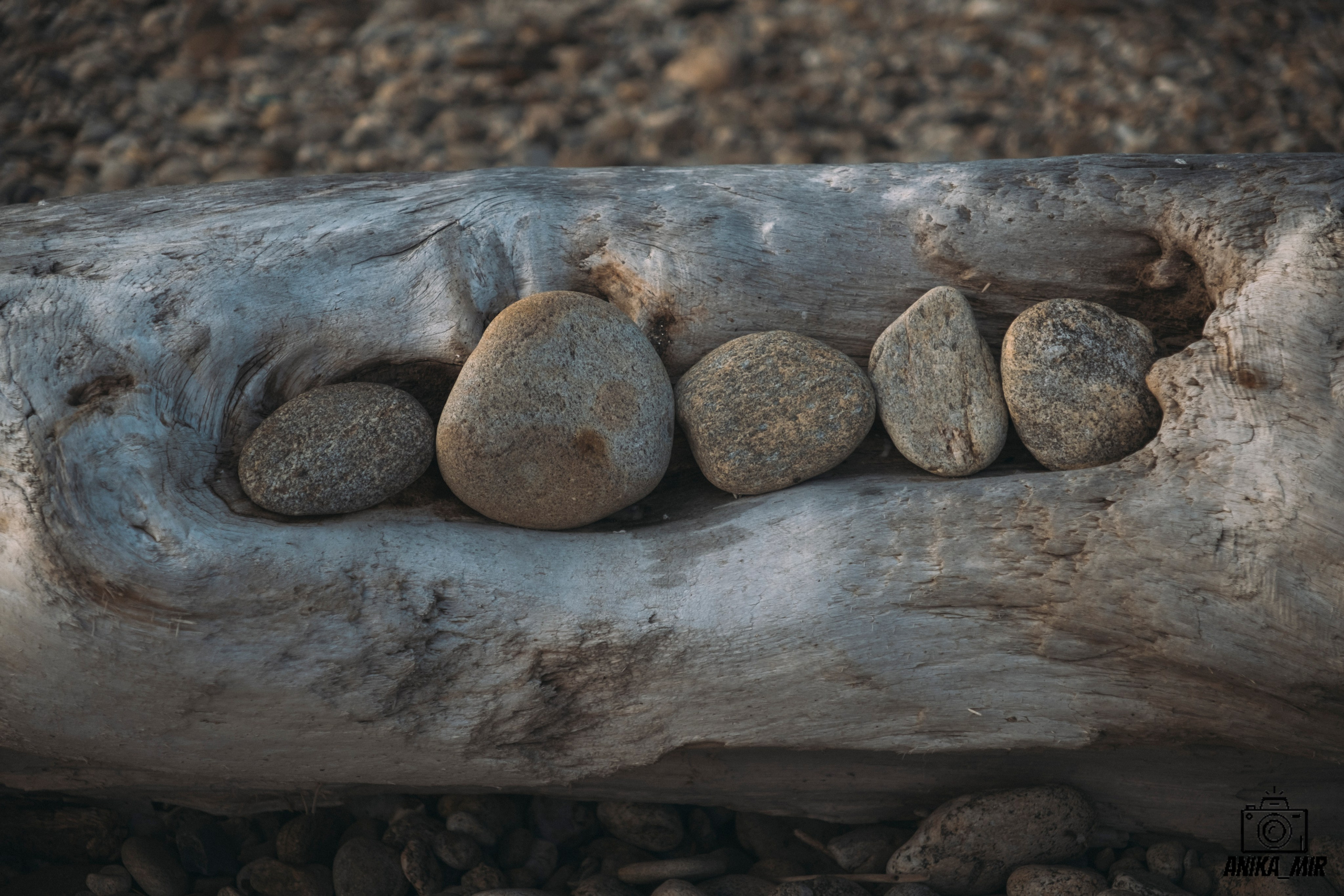 На берегу. Фотограф в Иркутске Анна Мирошникова
