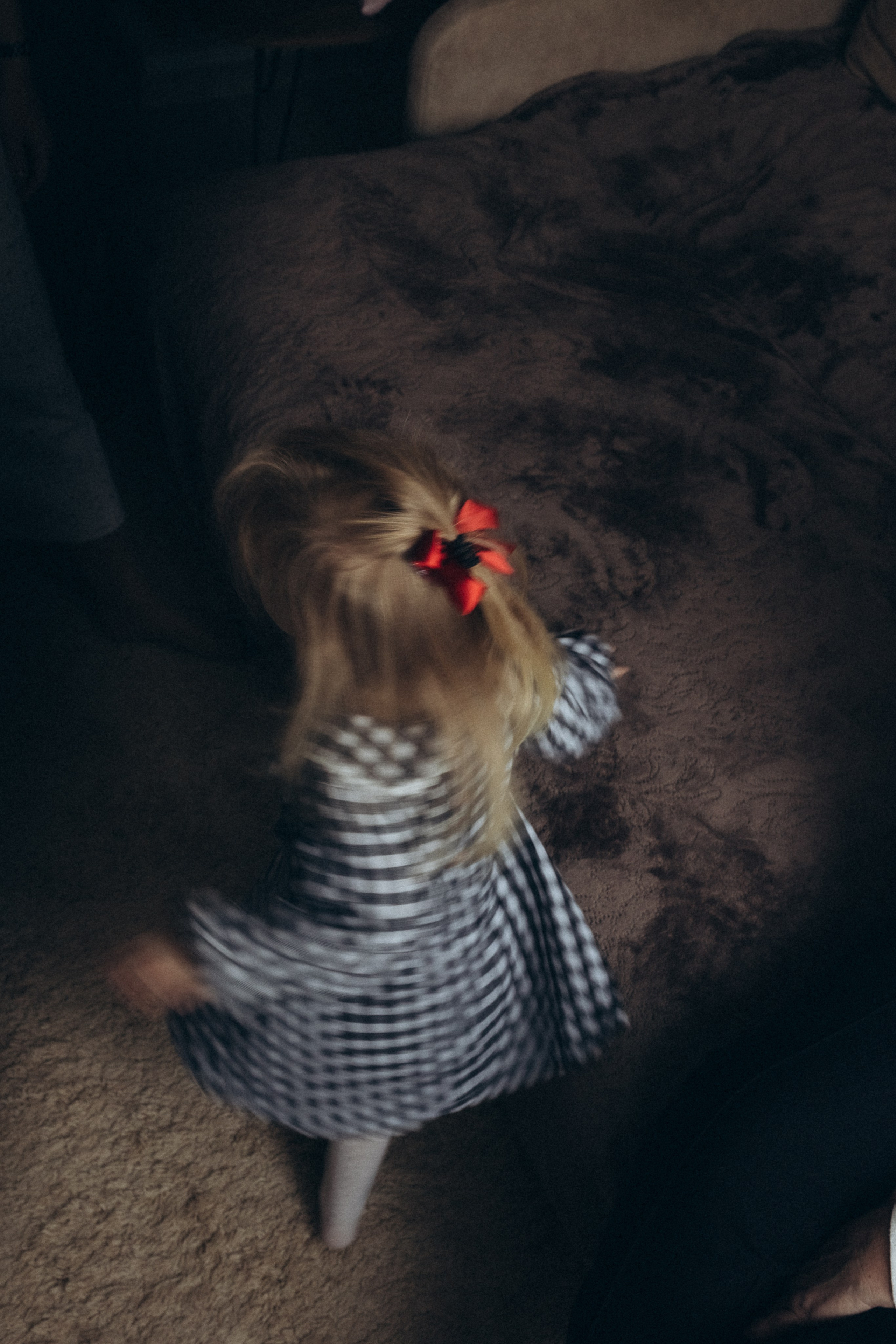 Предновогодняя суета. Фотограф из Петербурга