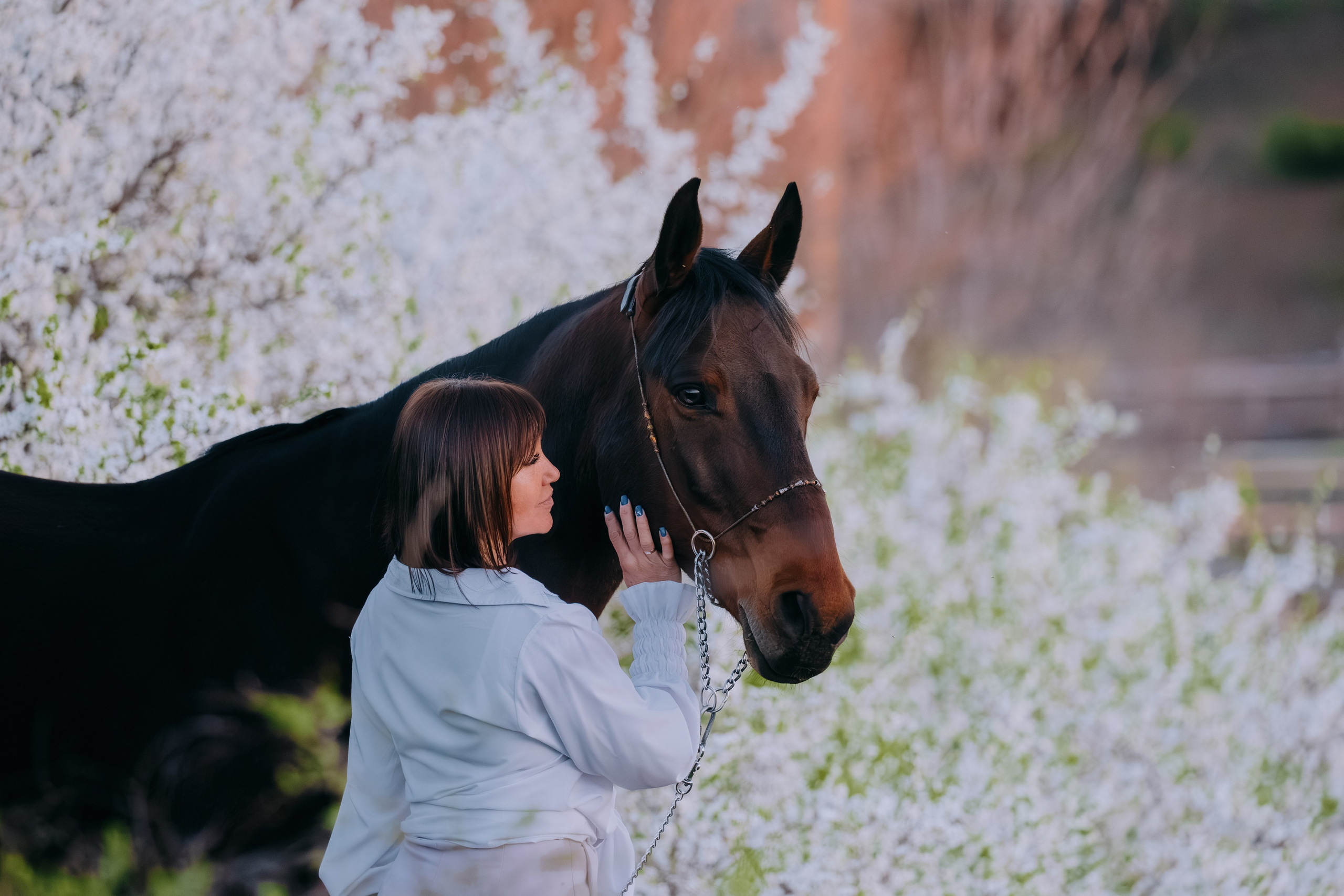 Лена и Сархан. Фотограф-анималист Ксендзова Кристина