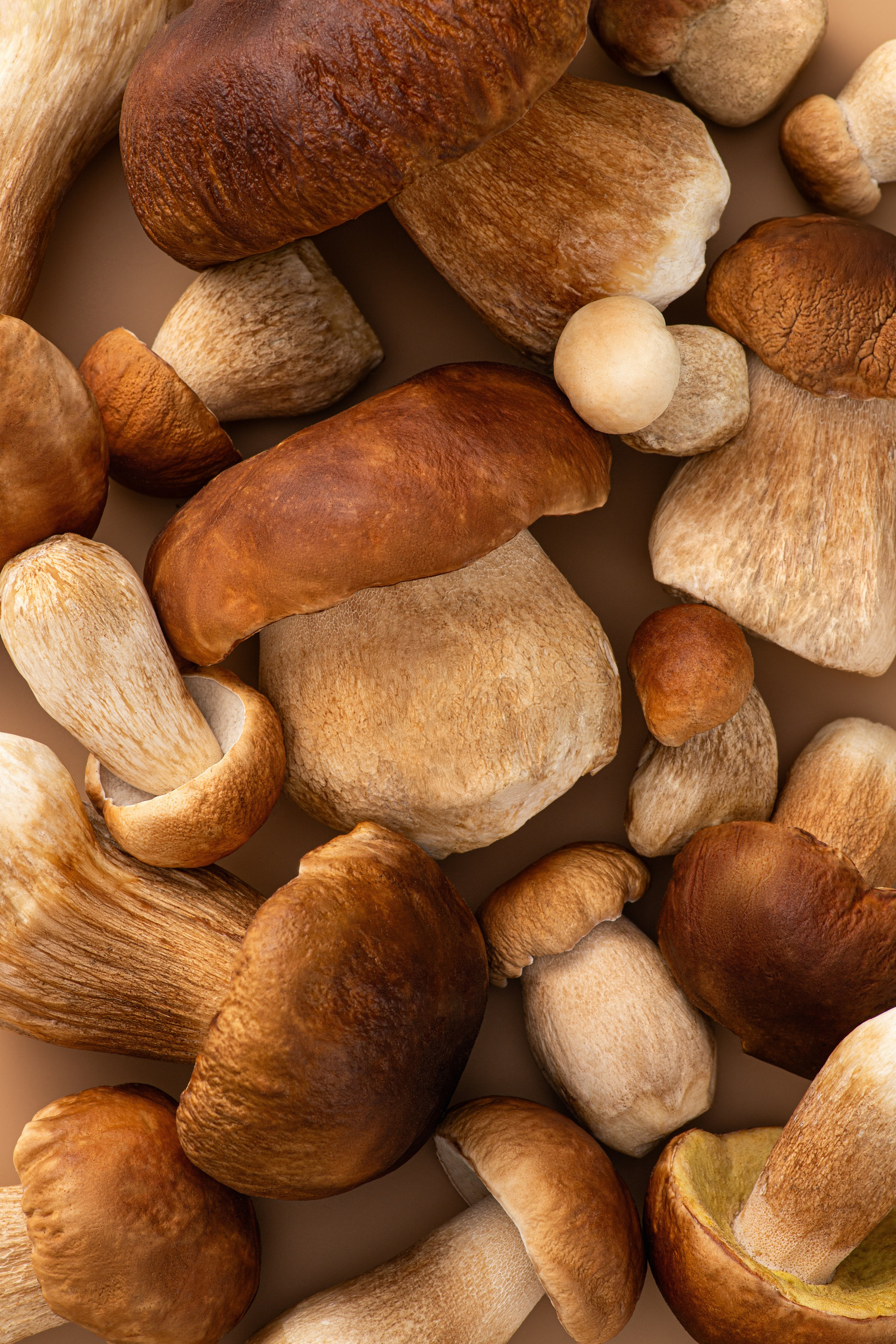 ЕДА И НАПИТКИ. Дарья Шаталова. Предметный и фуд-фотограф Мытищи|Москва