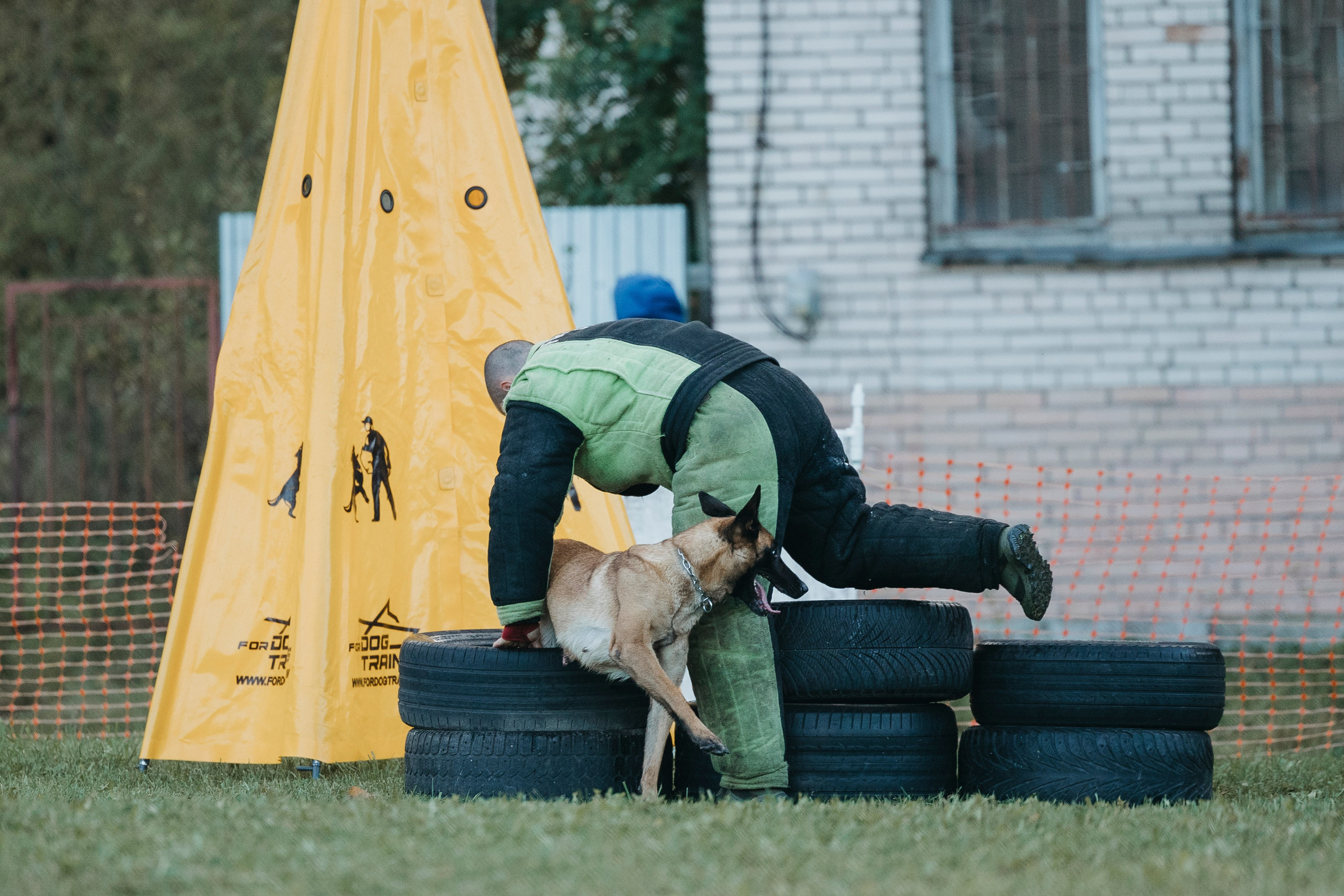 Испытания по мондьорингу г. Пушкин 29.09.2024. Фотограф-анималист Анна Маринич
