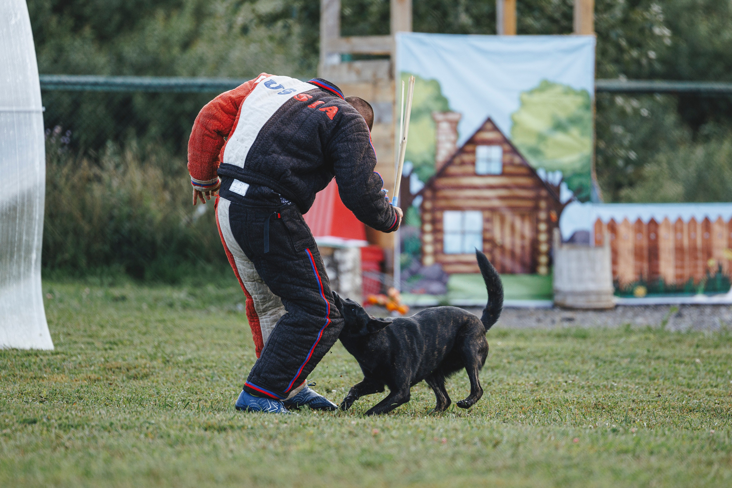 08.08.25-10.08.25 ЧР по мондьорингу г. Вологда. Фотограф-анималист Анна Маринич