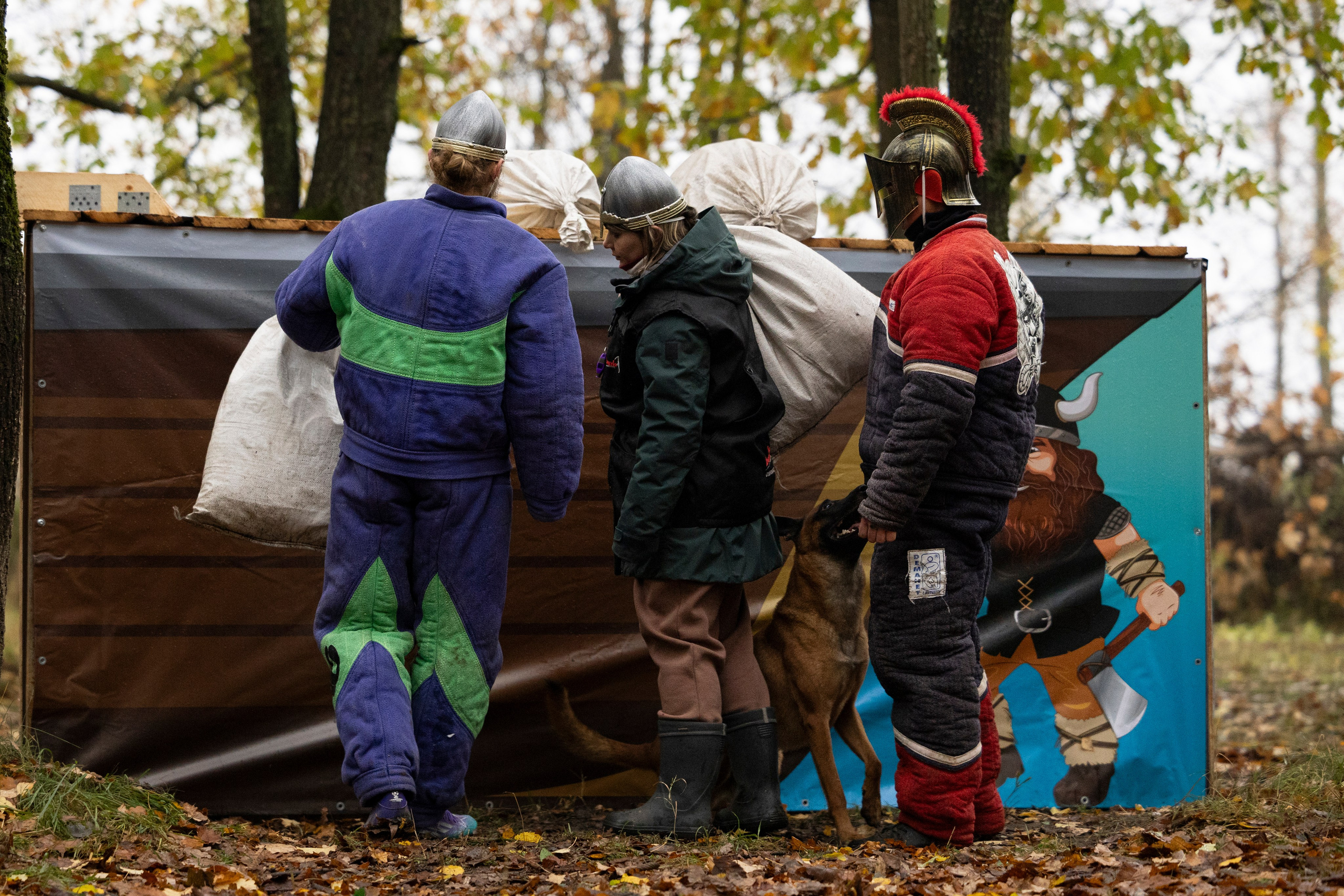 Соревнования по Мондьорингу г. Вологда. Фотограф-анималист Анна Маринич