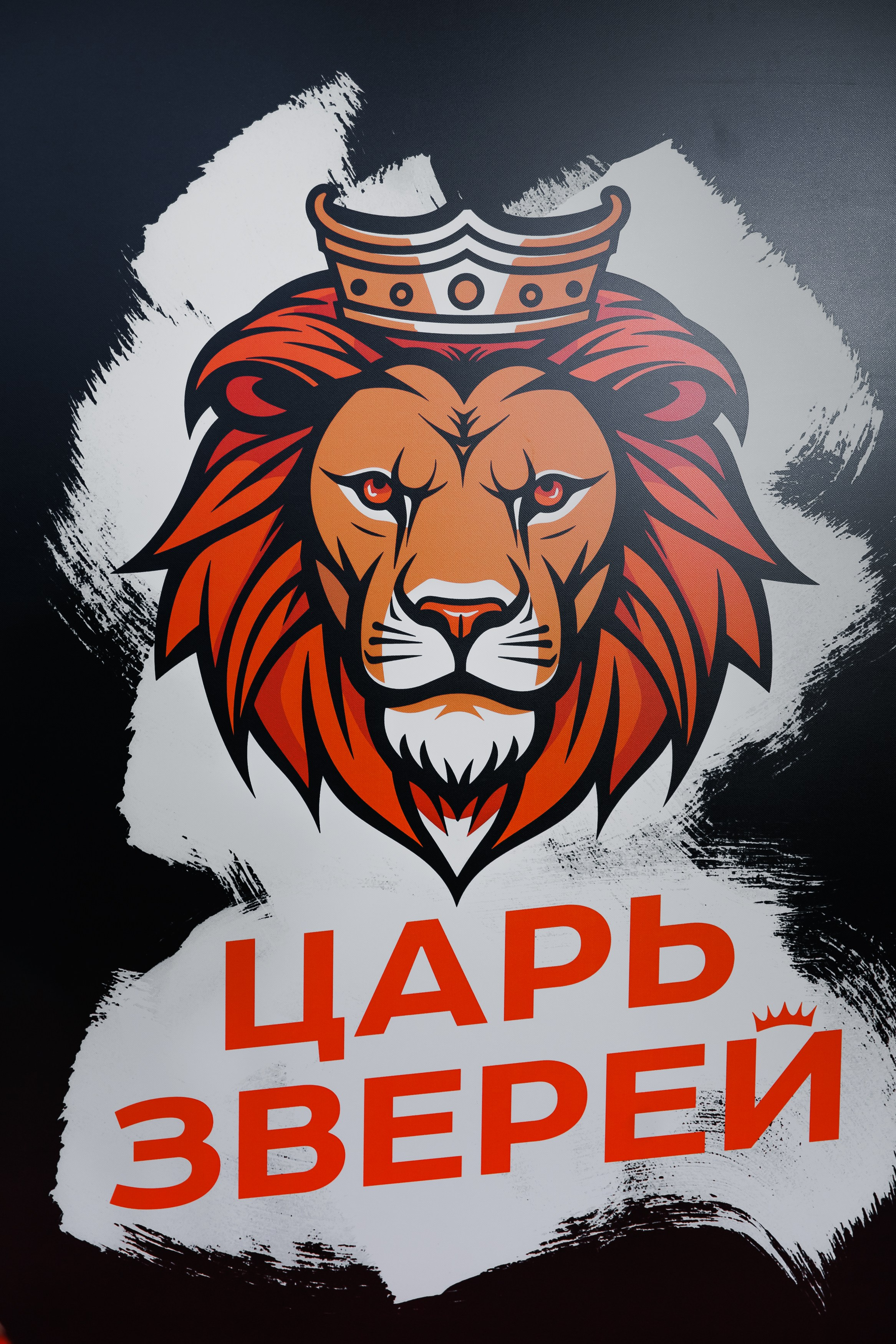 Закрытый показ Шоу. Репортажный фотограф. Москва. Алина Ланская