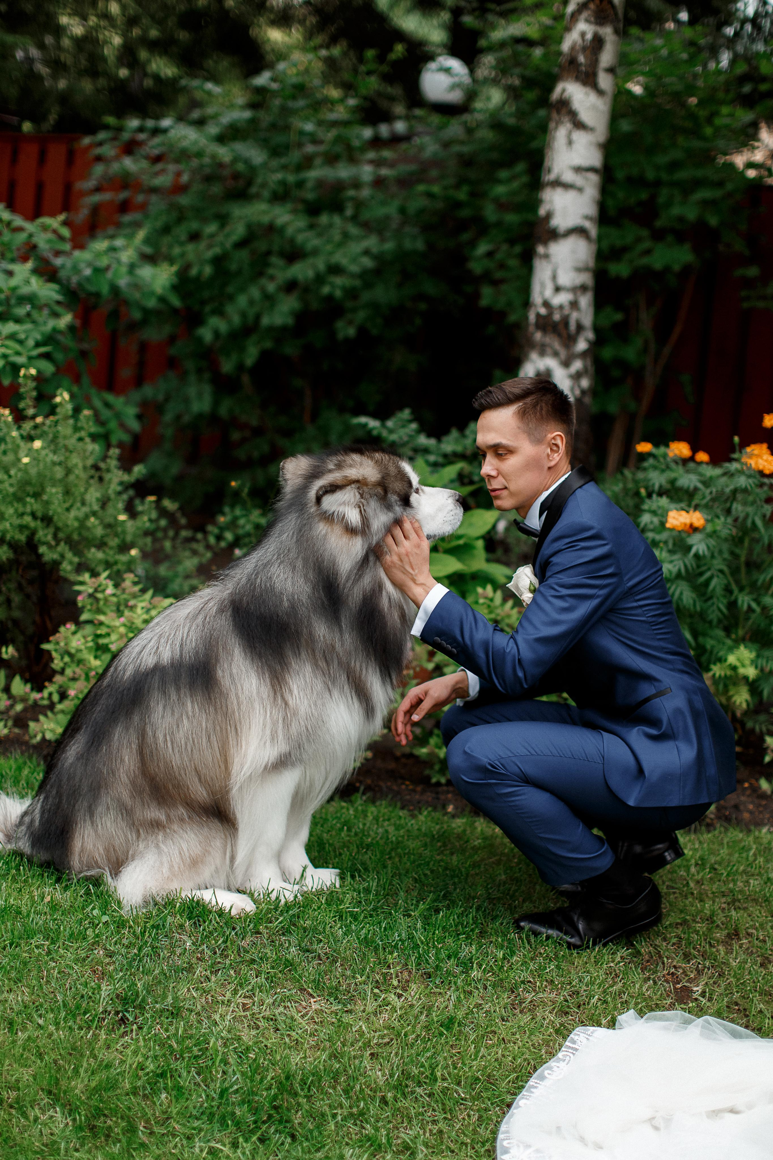 Анна и Андрей свадебный день (большая серия). Your story in photos