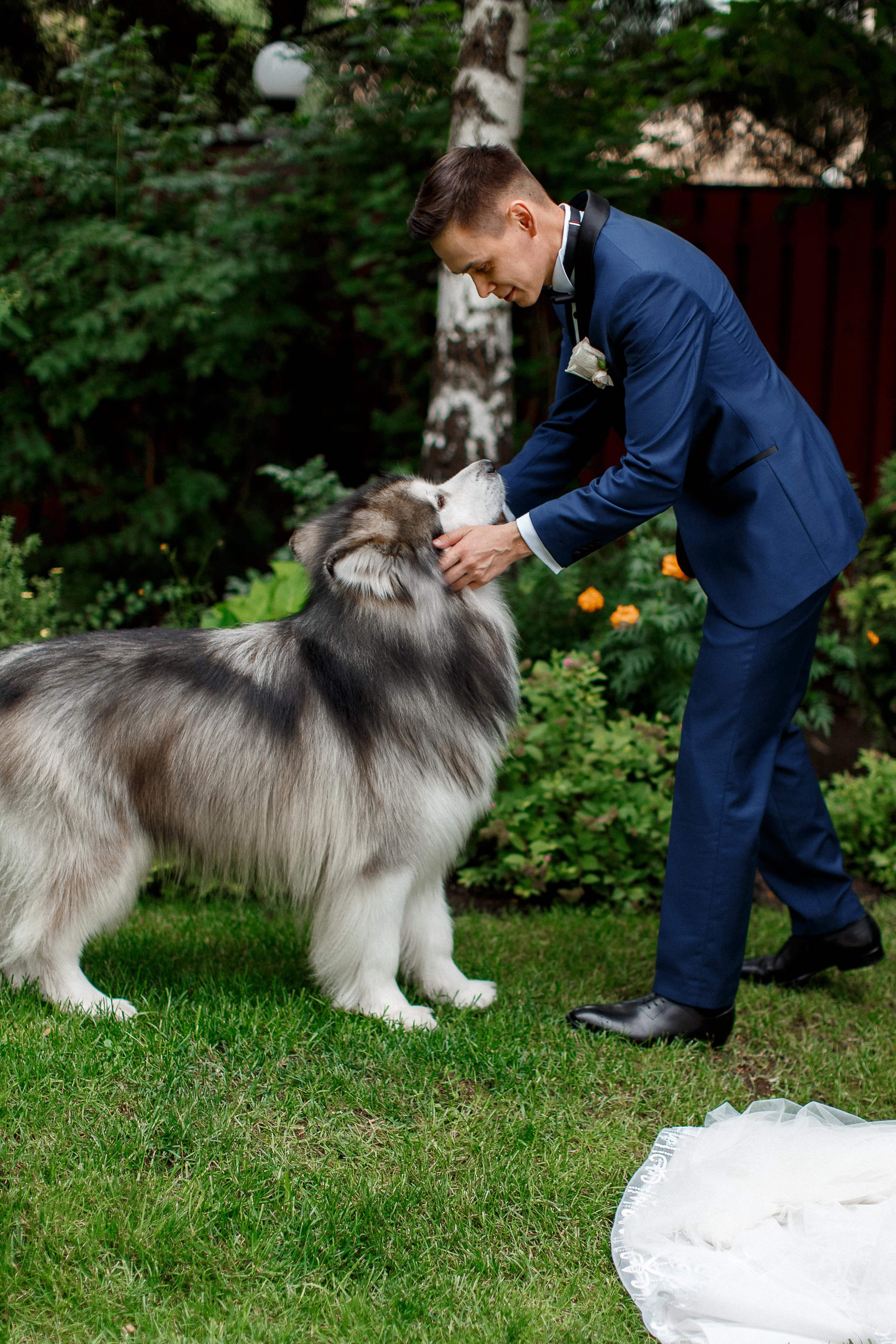 Анна и Андрей свадебный день (большая серия). Your story in photos