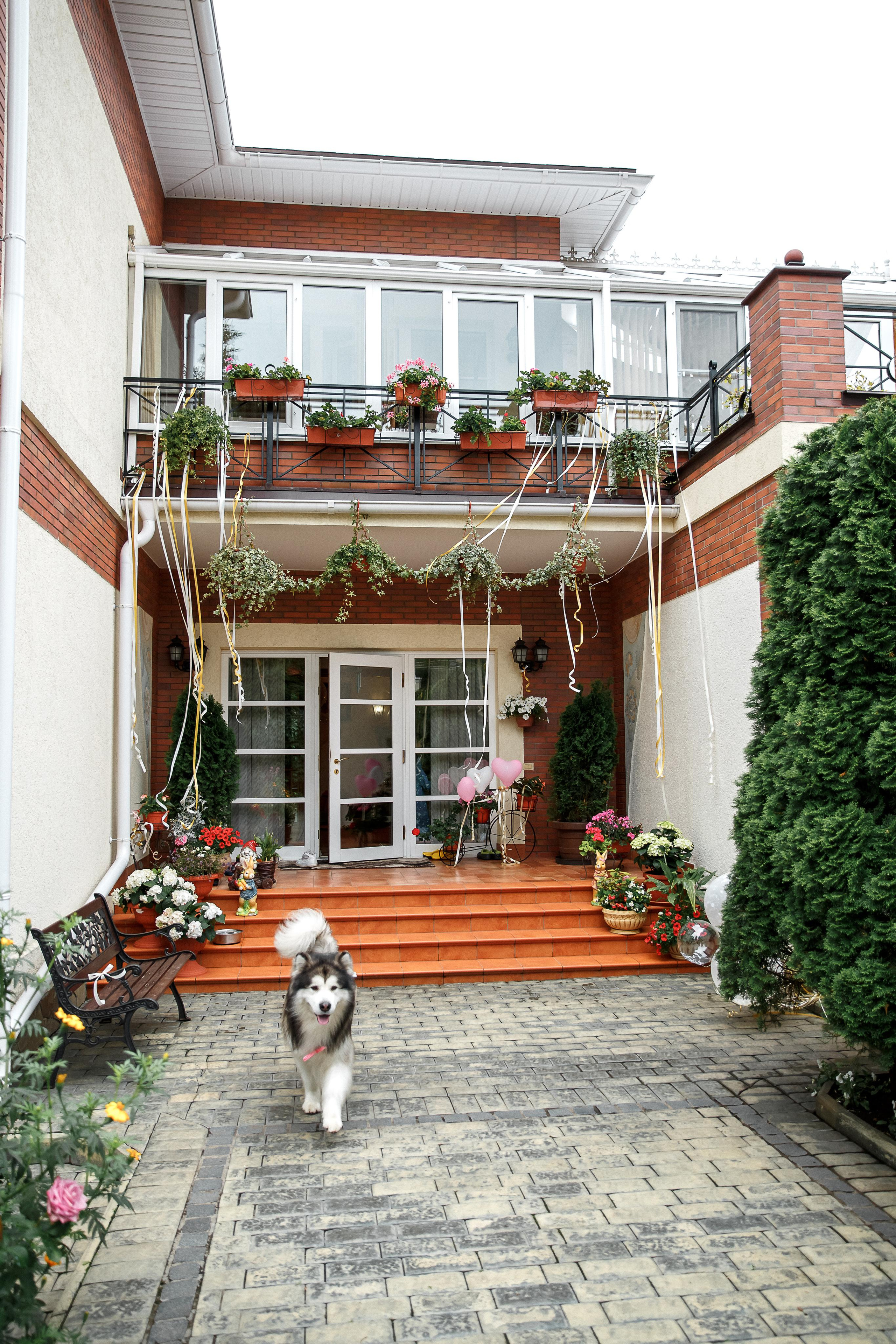 Анна и Андрей свадебный день (большая серия). Your story in photos