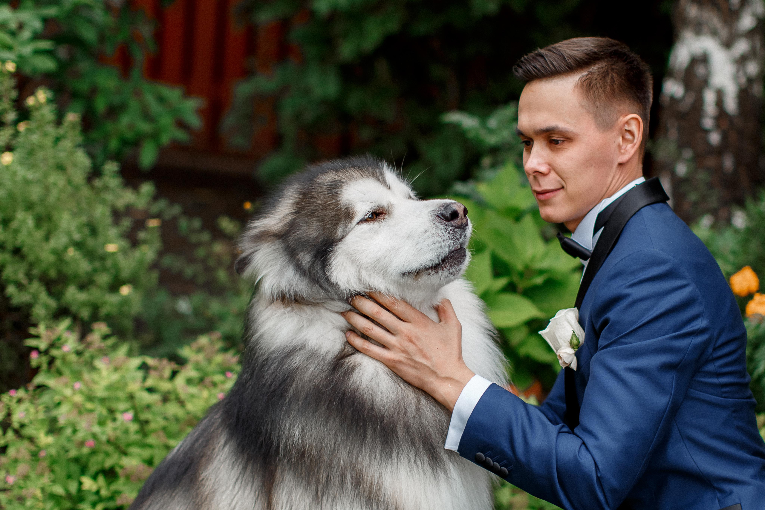 Анна и Андрей свадебный день (большая серия). Your story in photos