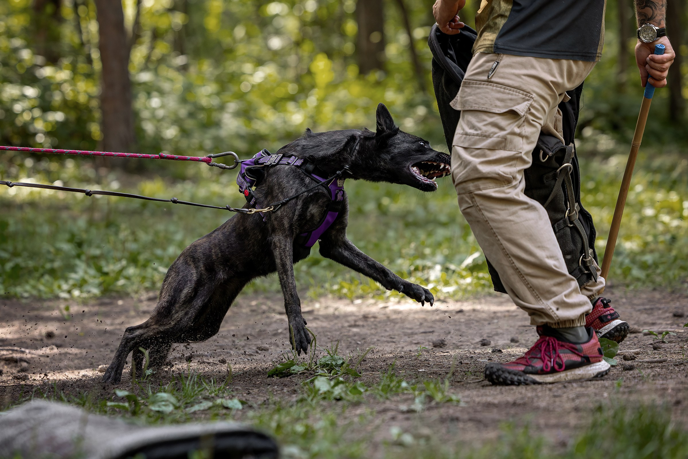 Услуги. Htykk_photo