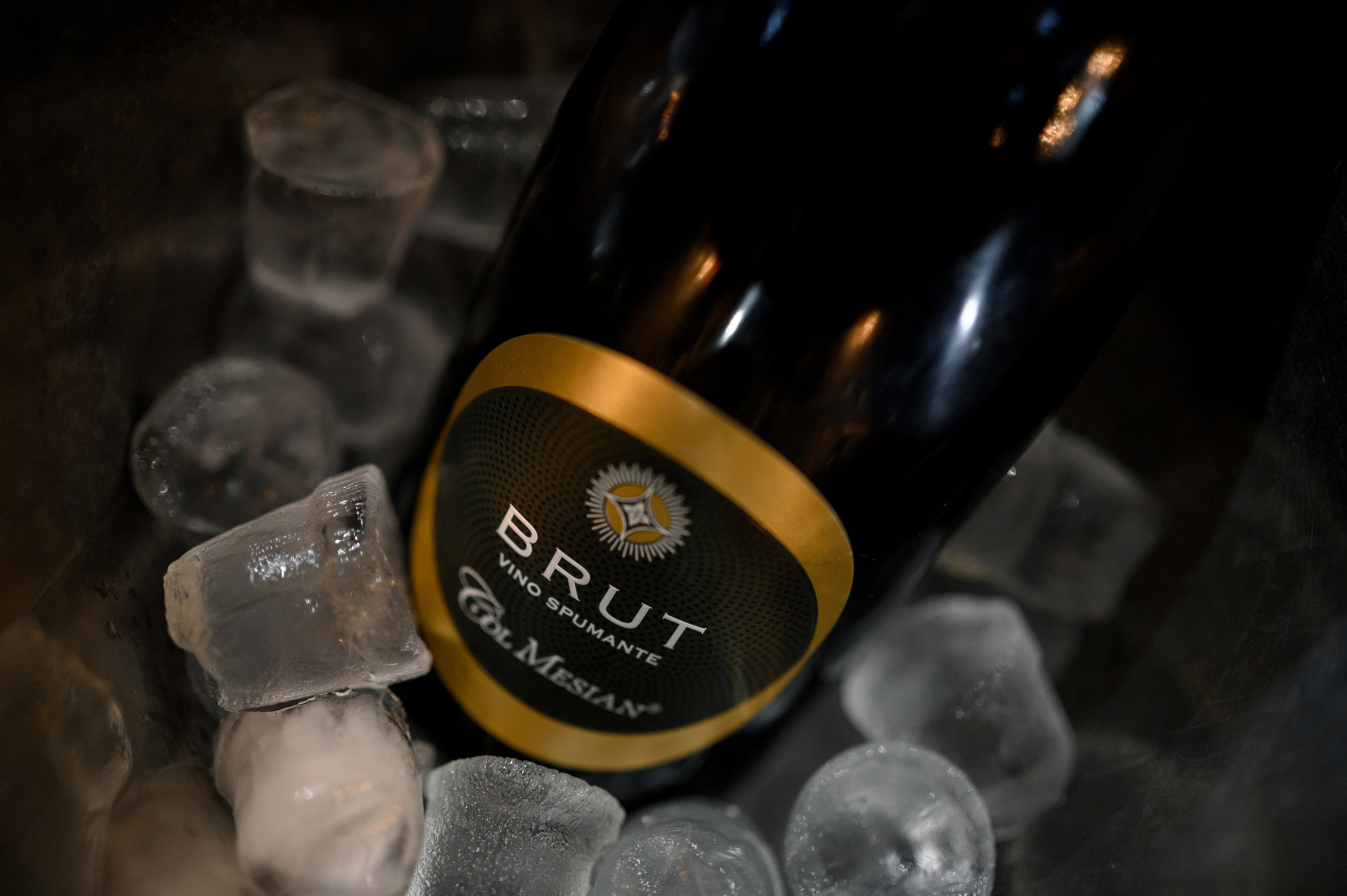 Happy Birthday Elena. Свадебный фотограф Минск