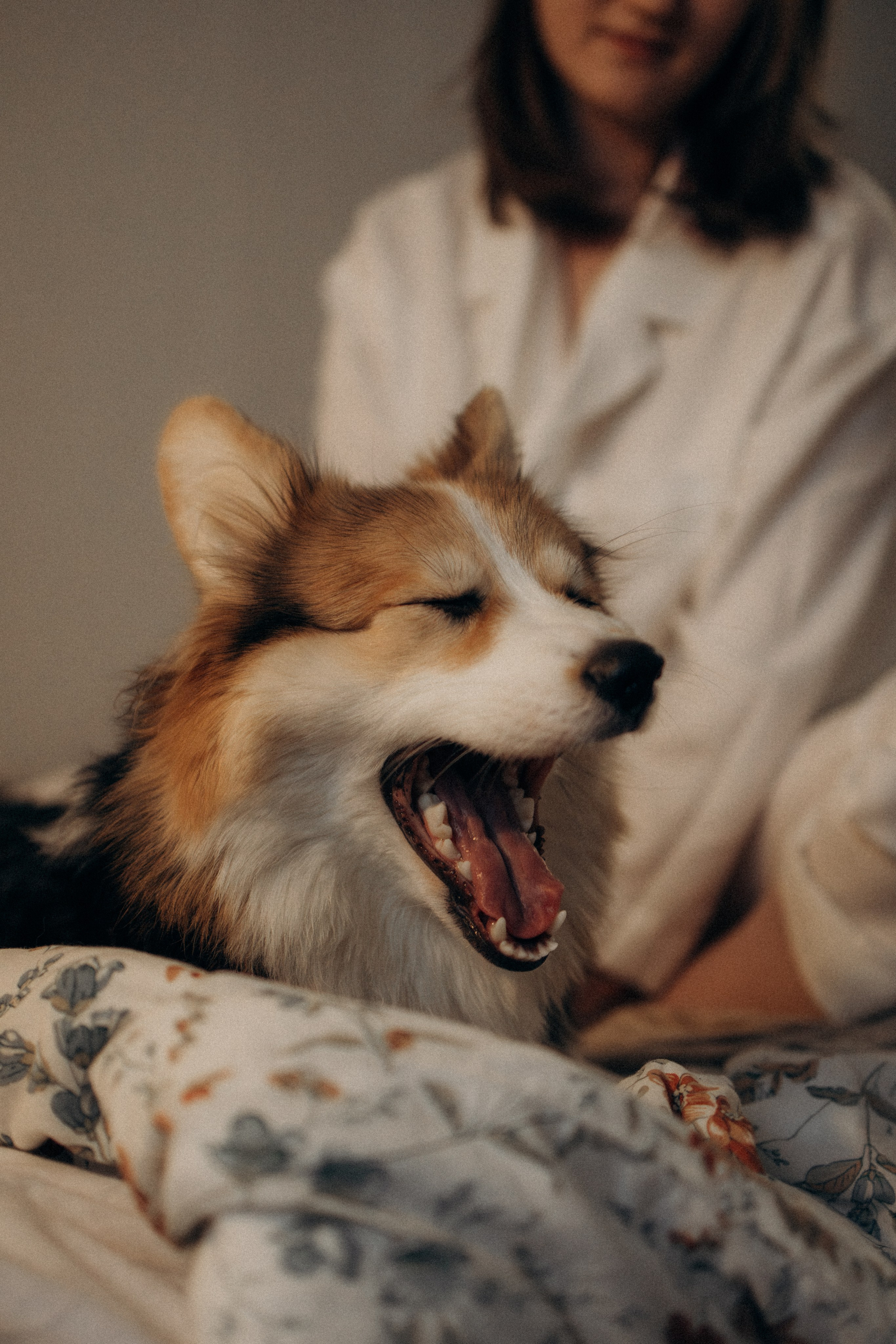 Мишель и Влада. Фотораф — анималист Мария Шистка