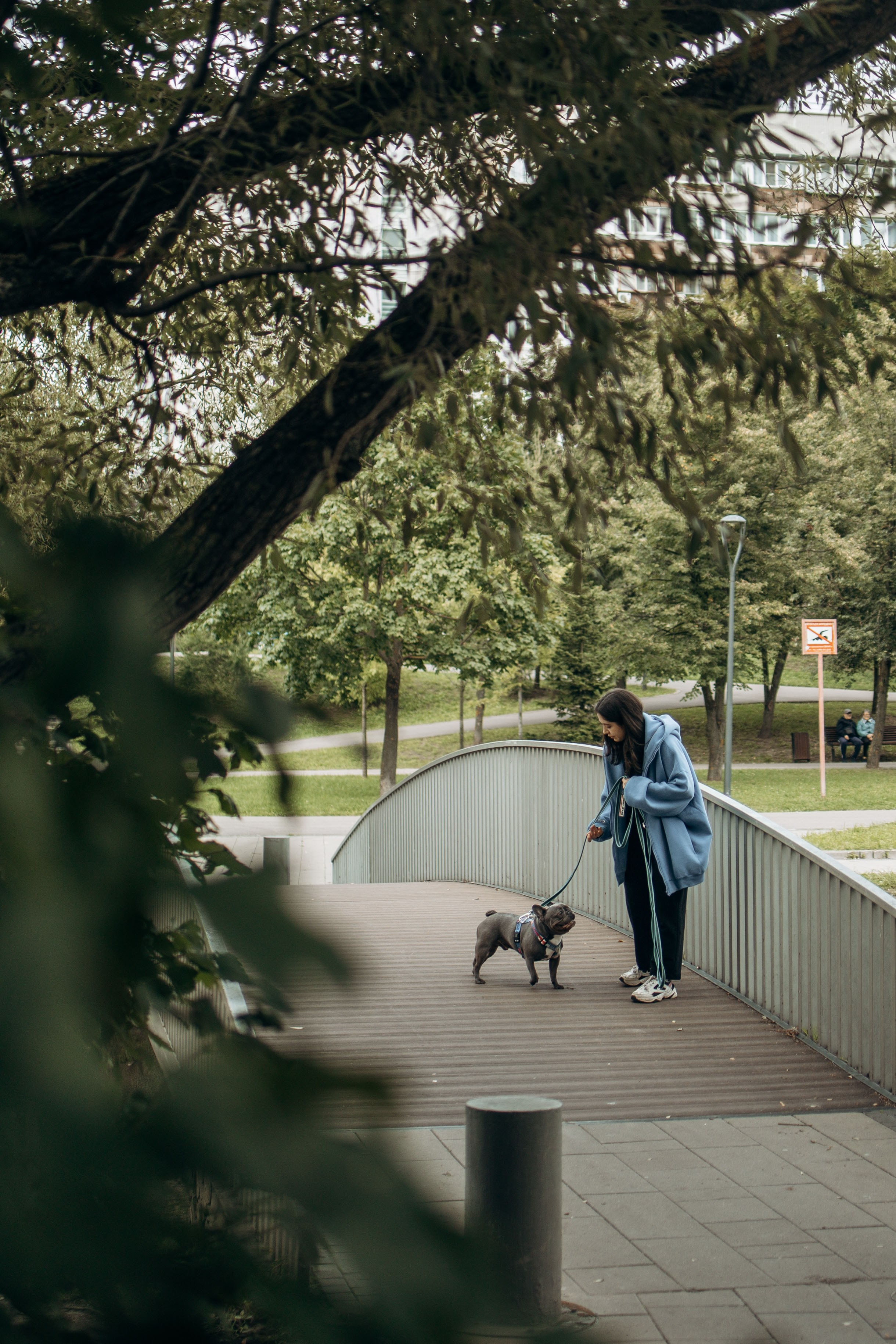 Грей и его семья