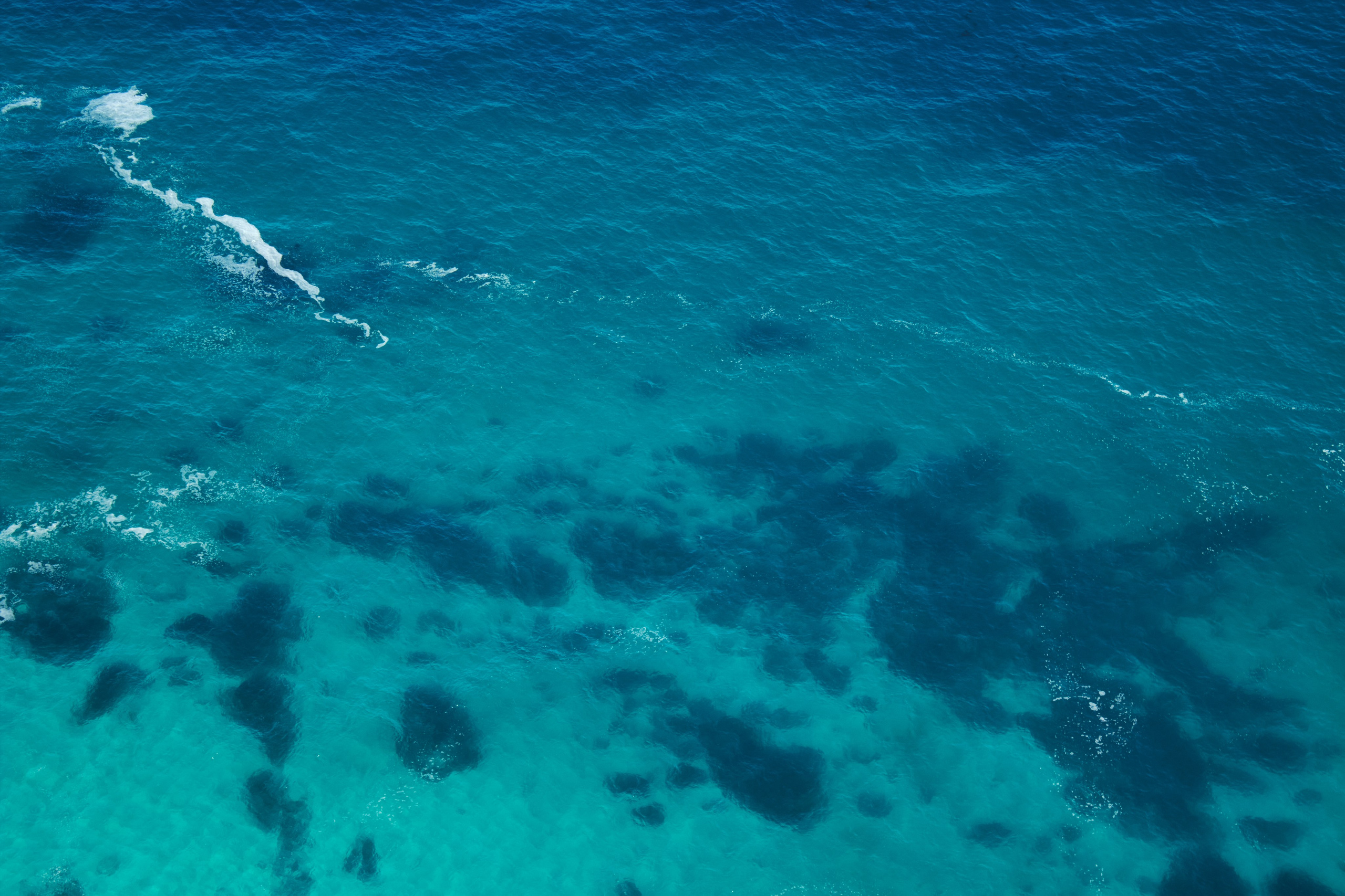 ЮАР. Профессиональный Фотограф во Владимире, в Москве и в Суздале — Полина Романычева