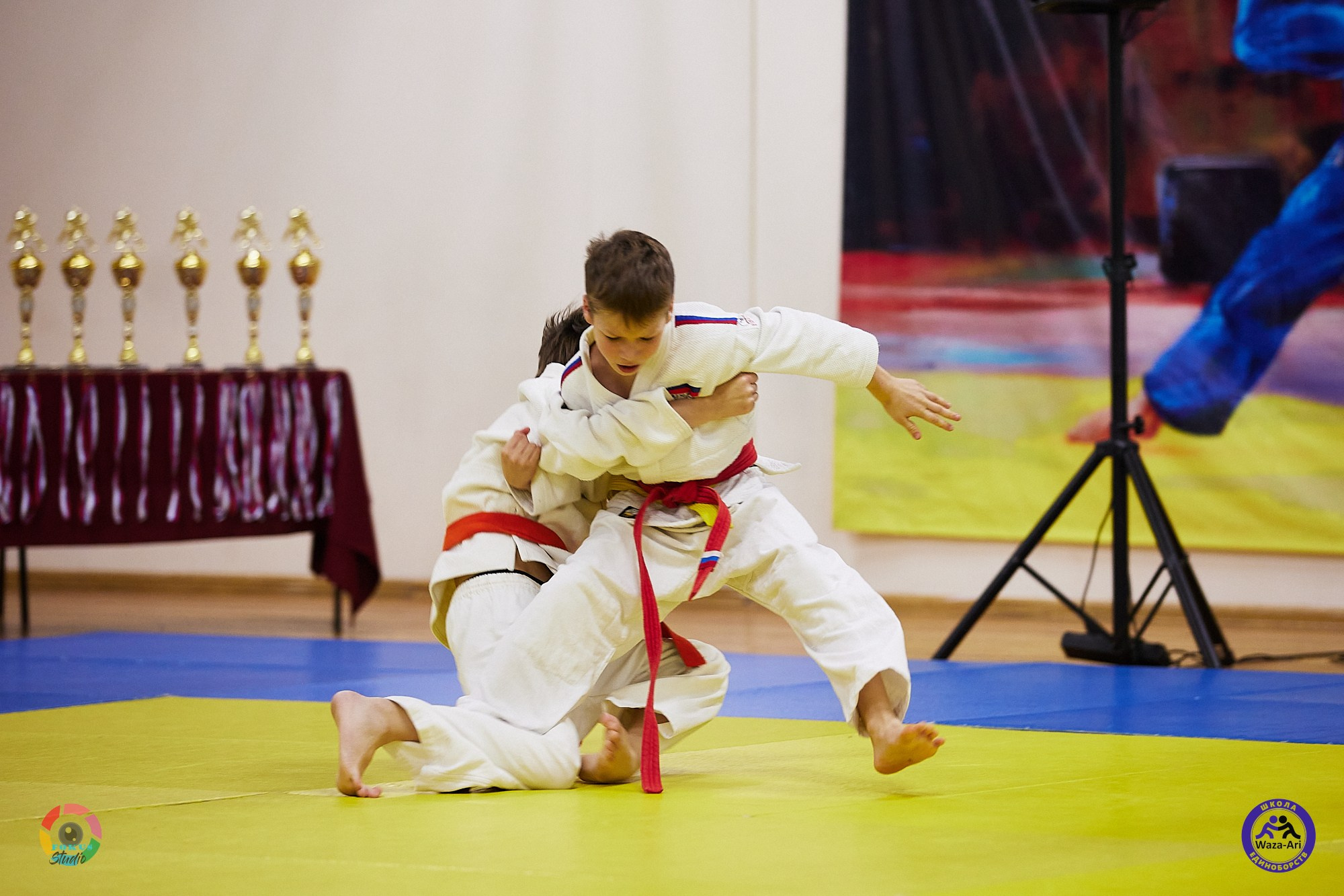 Репортаж Турнир по дзюдо. Спортивный фотограф Некрасов Денис