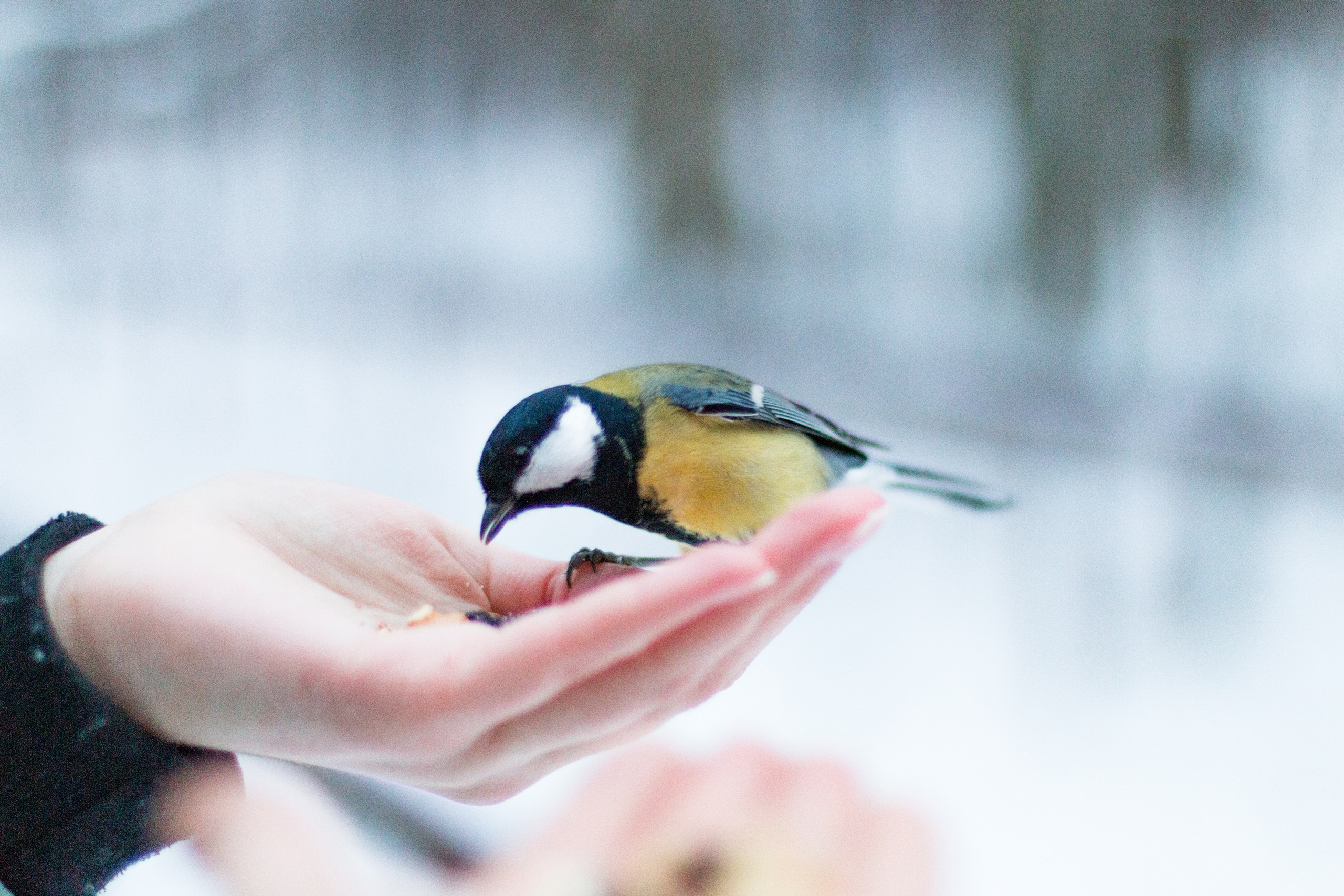 Русский север, Белое море, Архангельск. Фотограф в Сочи