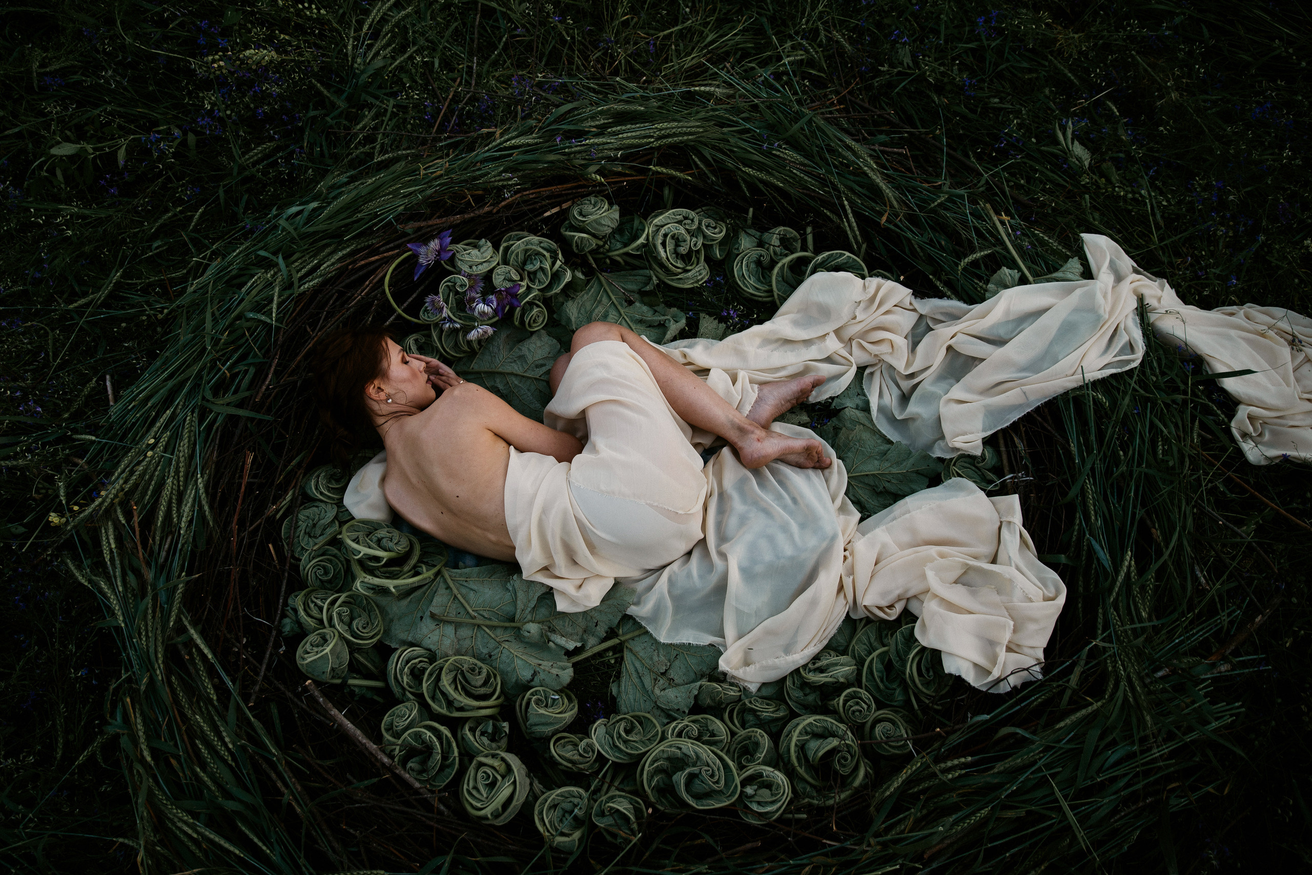 Гнездо. Женский и семейный фотограф в Туле Катя Вуколова