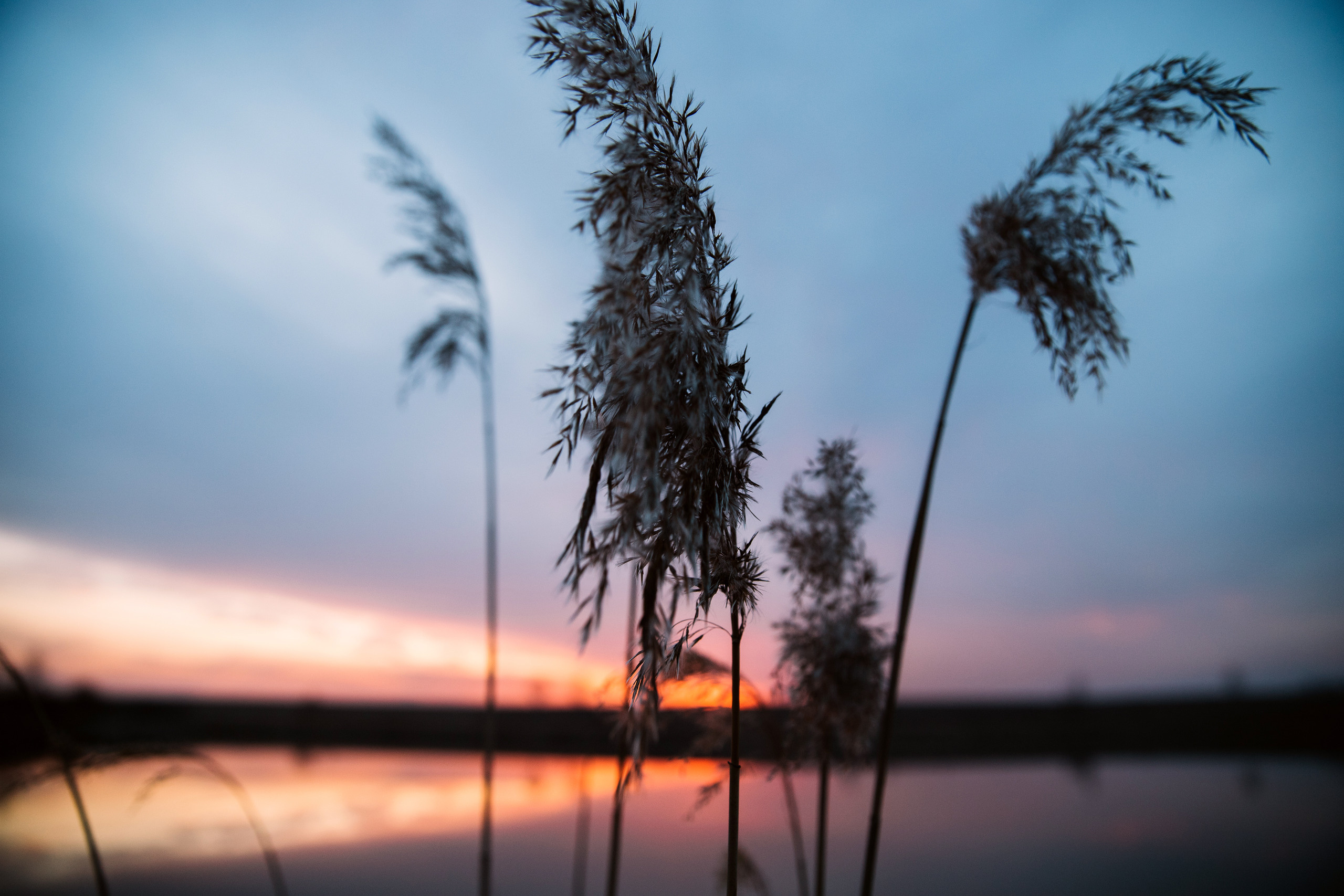 В догонку за солнцем. Женский и семейный фотограф в Туле Катя Вуколова