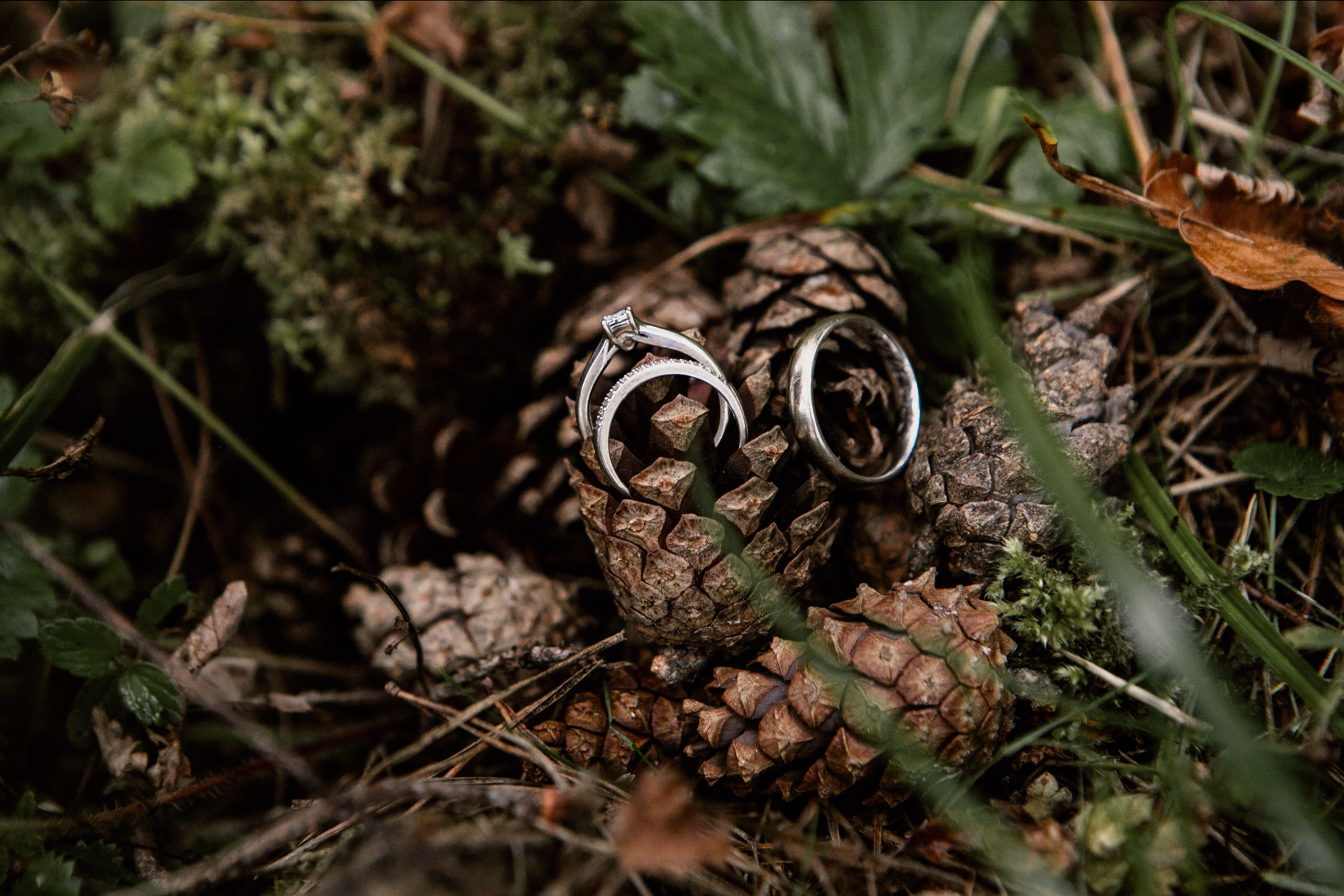 Слава и Ася. Женский и семейный фотограф в Туле Катя Вуколова