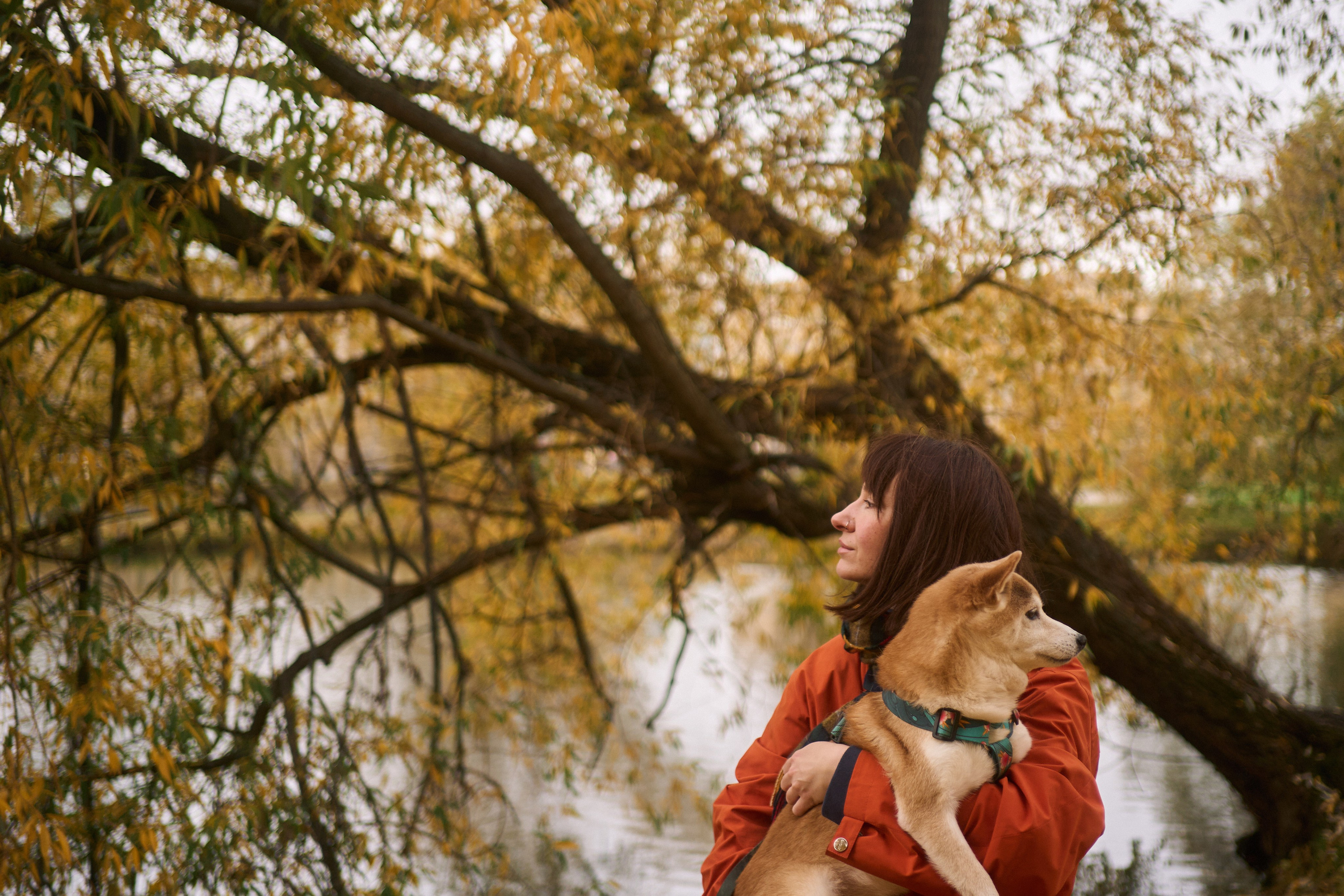 Осенние Уши. Фотограф анималист Москва Дарья