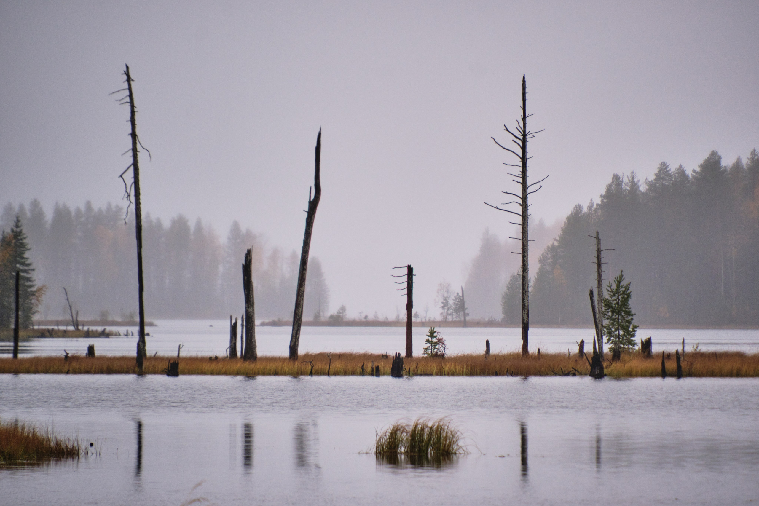 Северные дневники. Алиса Северная. Визуальные исследования. Пейзажная и документальная фотография
