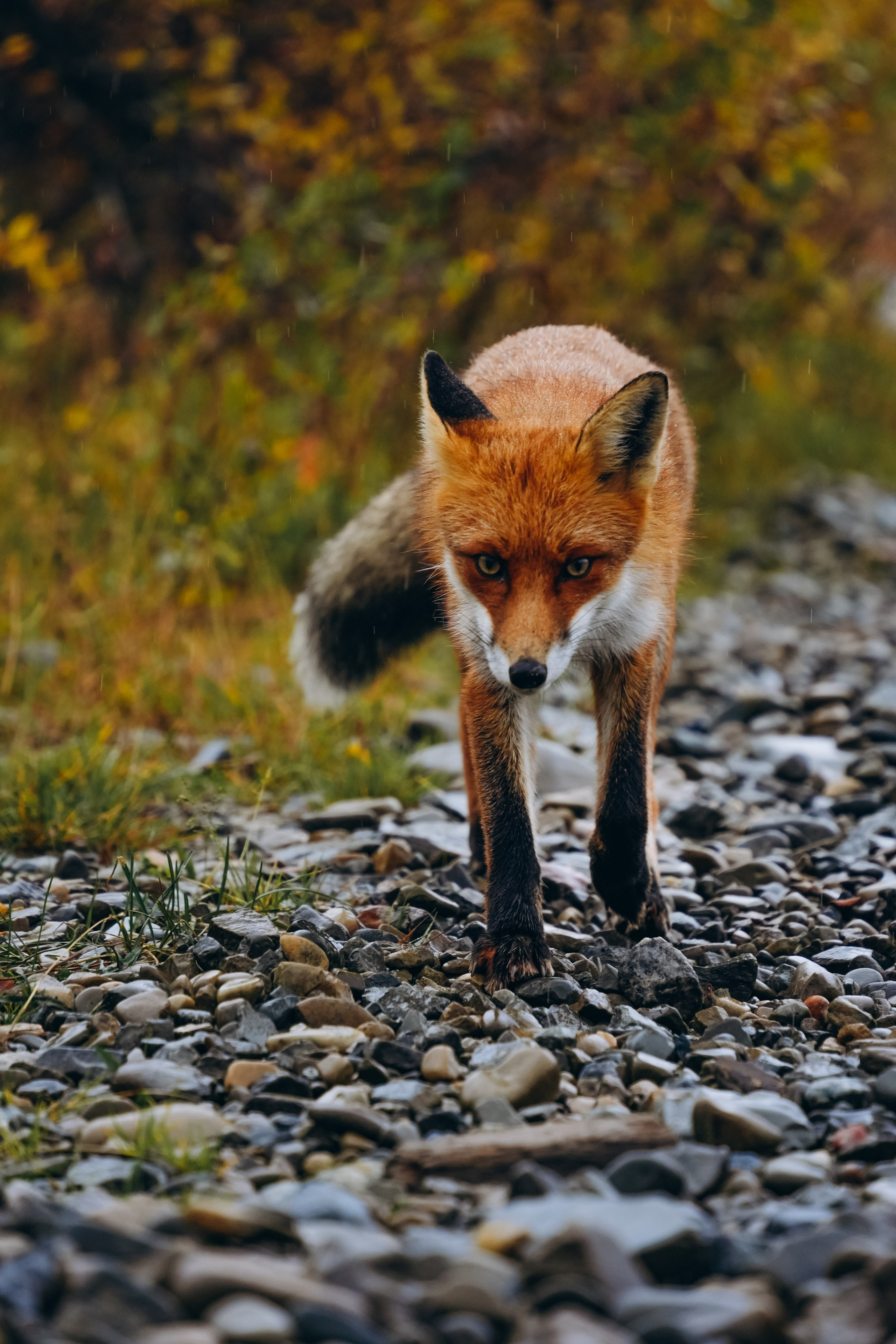 СЕВЕР. Event фотограф Степанова Александра