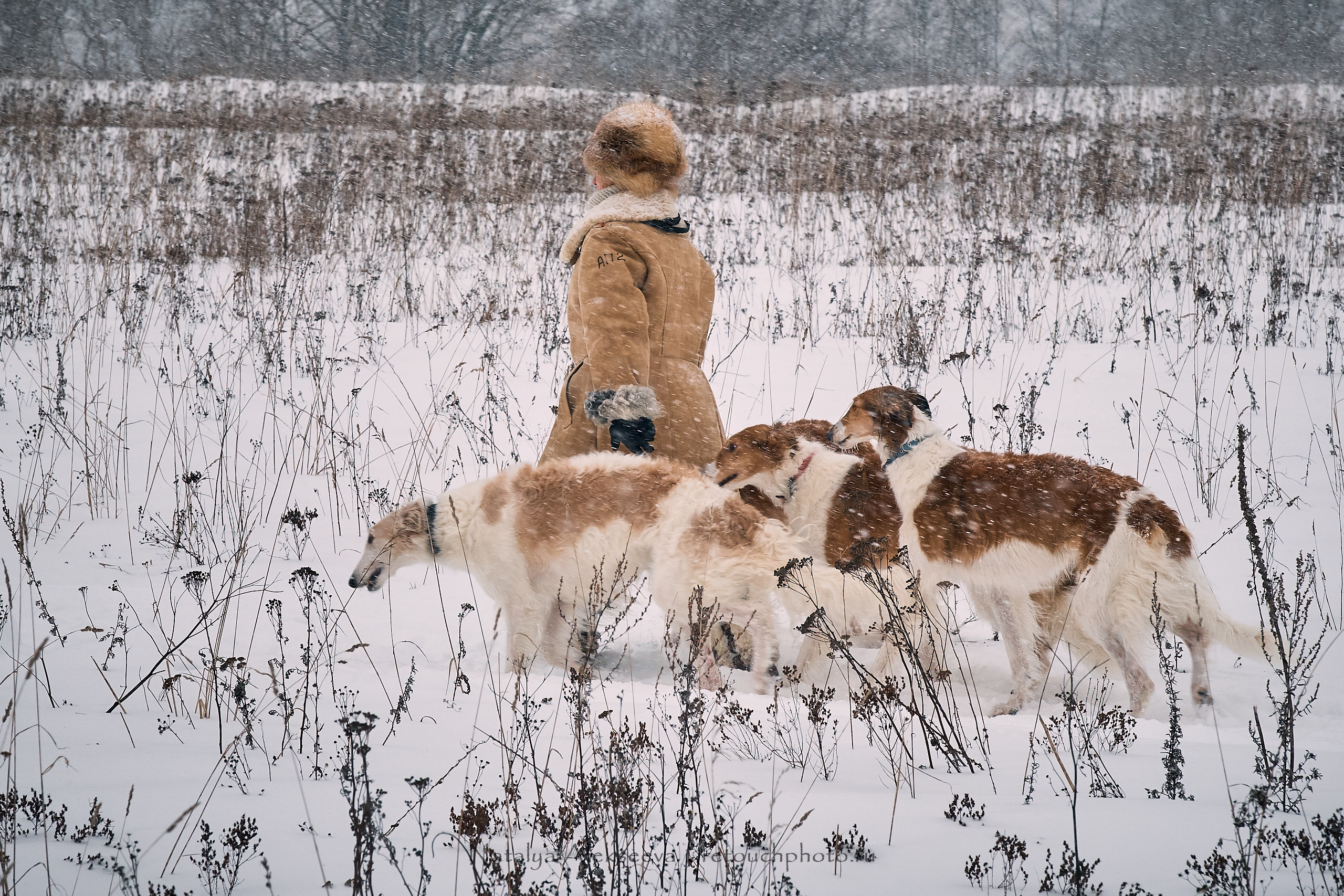 Большая Псовая охота, КТБ Аванпост | 01'2019. Репортажный фотограф и ретушер в Москве Наталья Алексеева