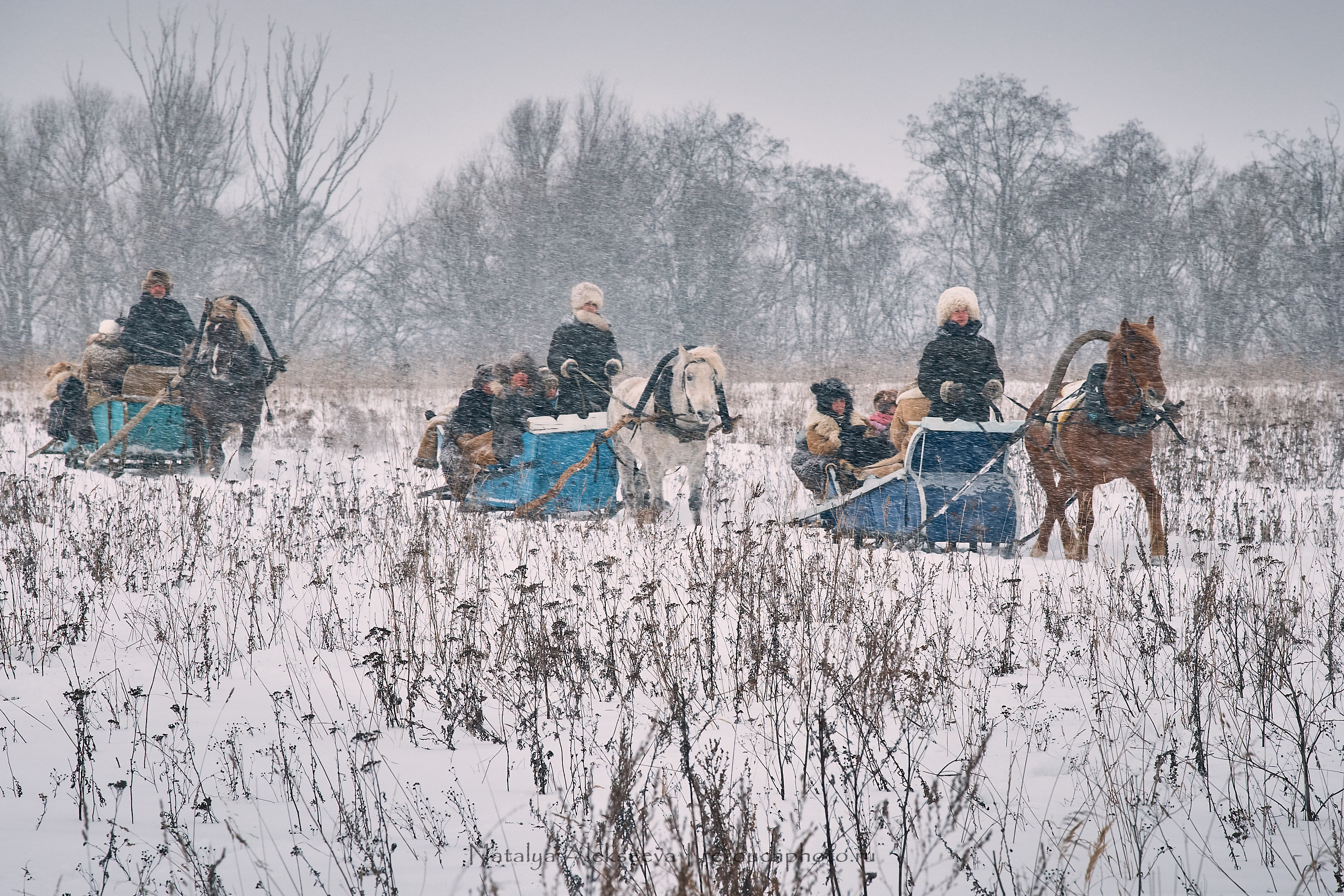 Большая Псовая охота, КТБ Аванпост | 01'2019. Репортажный фотограф и ретушер в Москве Наталья Алексеева