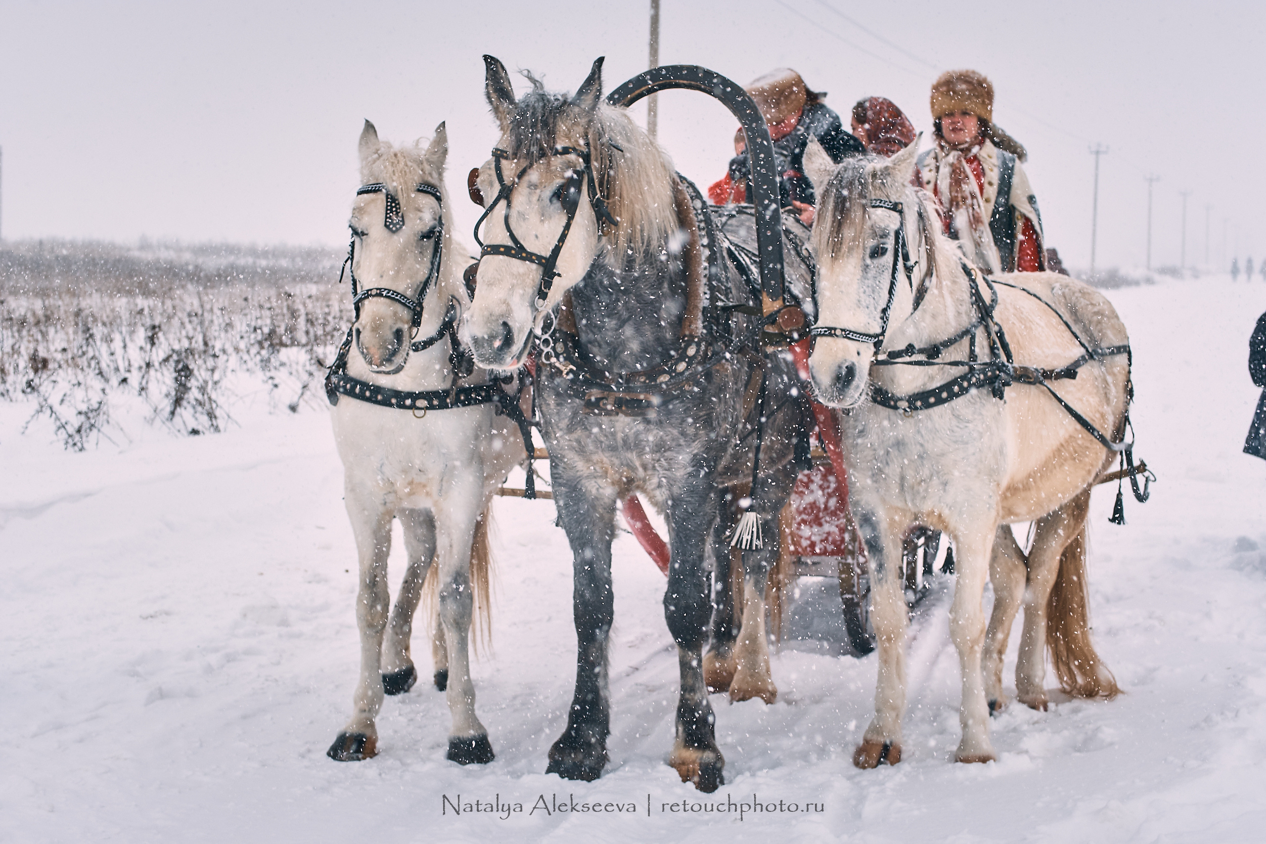 Большая Псовая охота, КТБ Аванпост | 01'2019. Репортажный фотограф и ретушер в Москве Наталья Алексеева